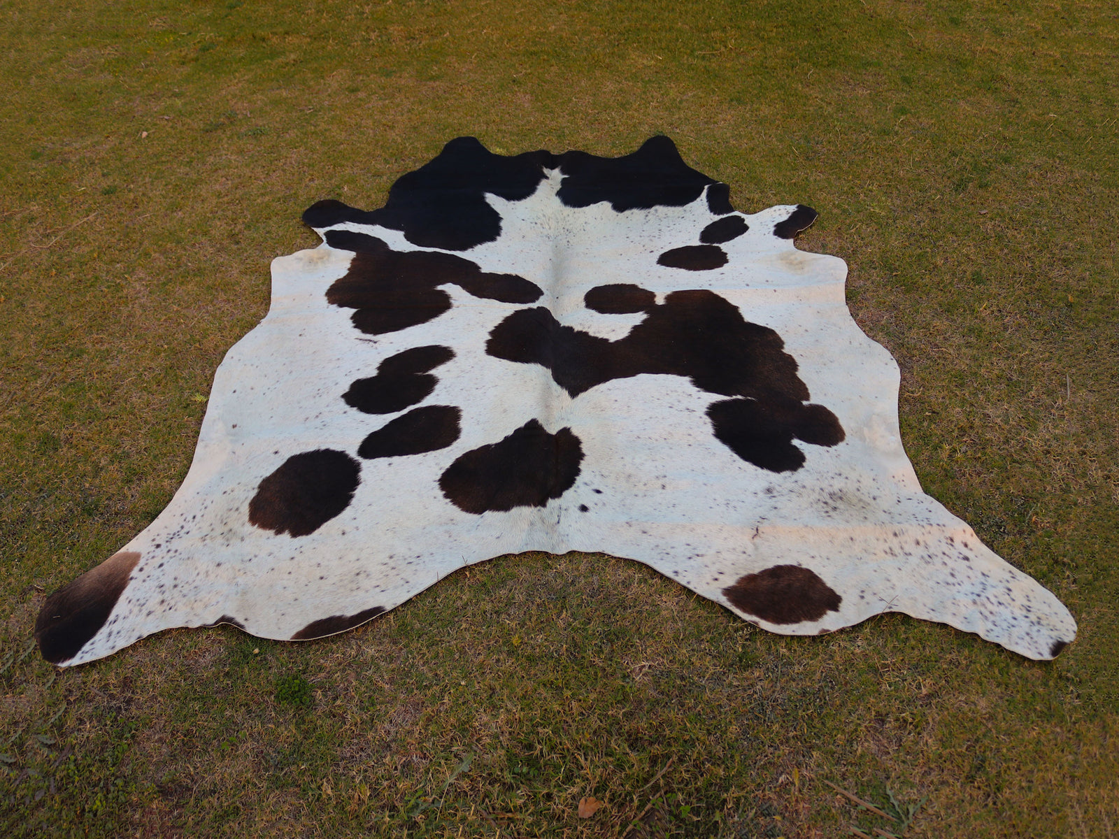 Black and White Panda Print Cowhide Rug