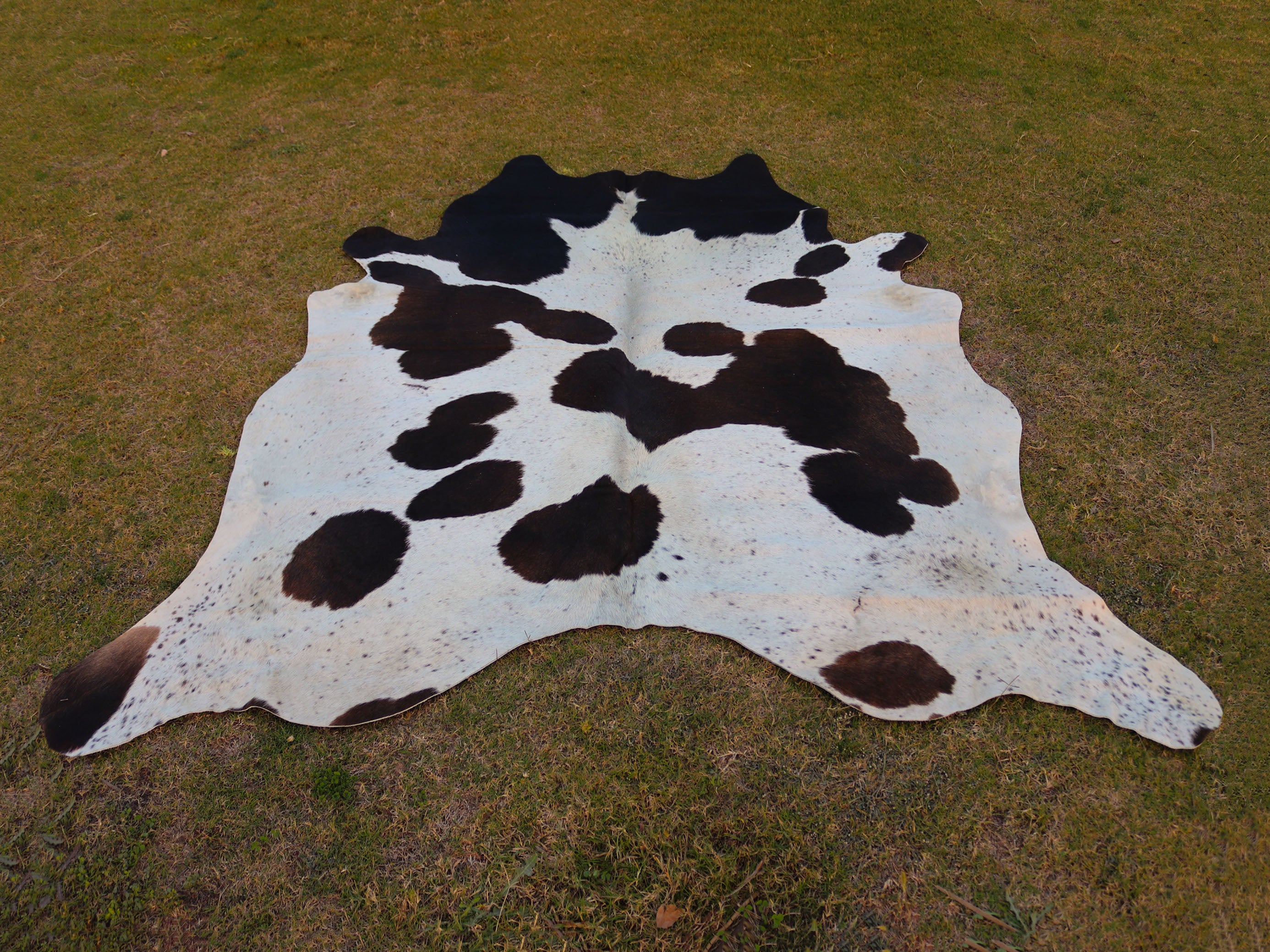 Black and White Panda Print Cowhide Rug