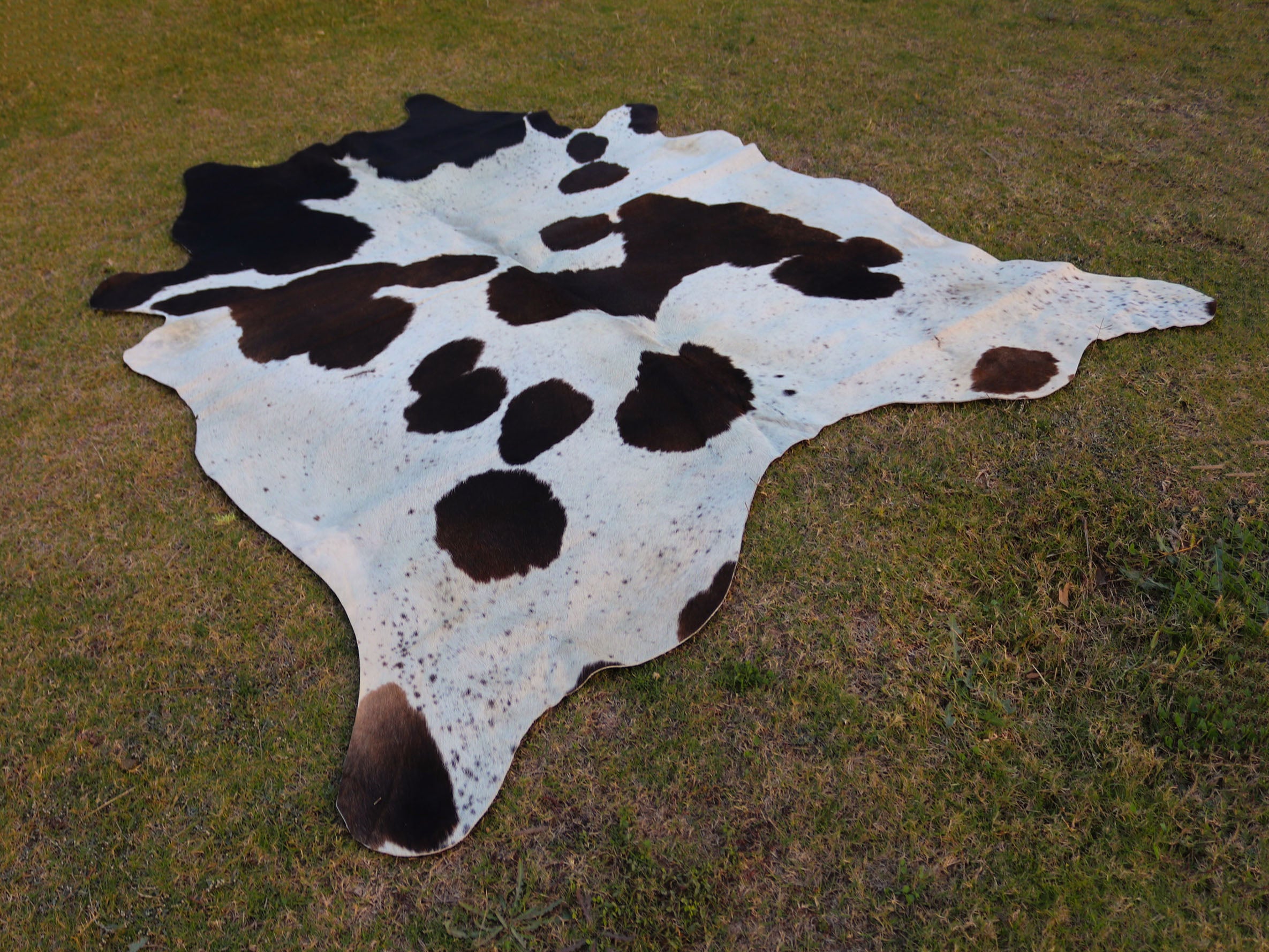 Black and White Panda Print Cowhide Rug