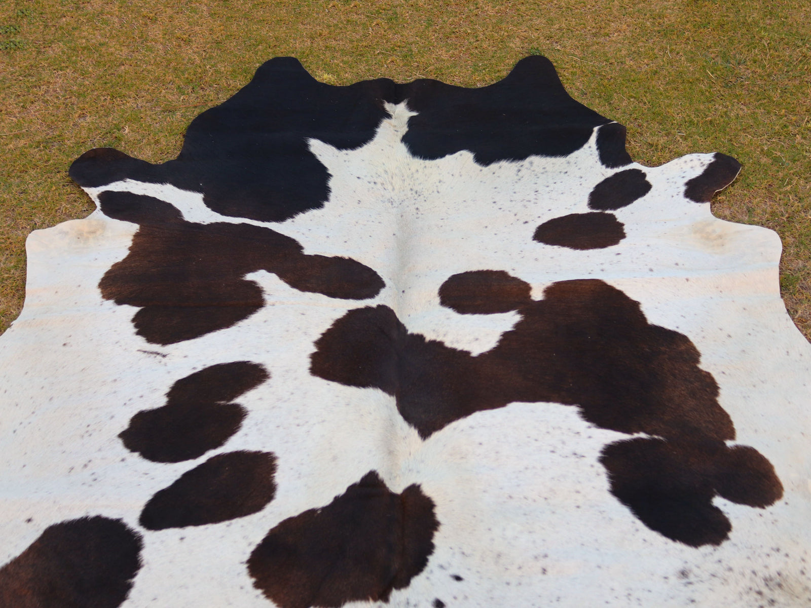 Black and White Panda Print Cowhide Rug