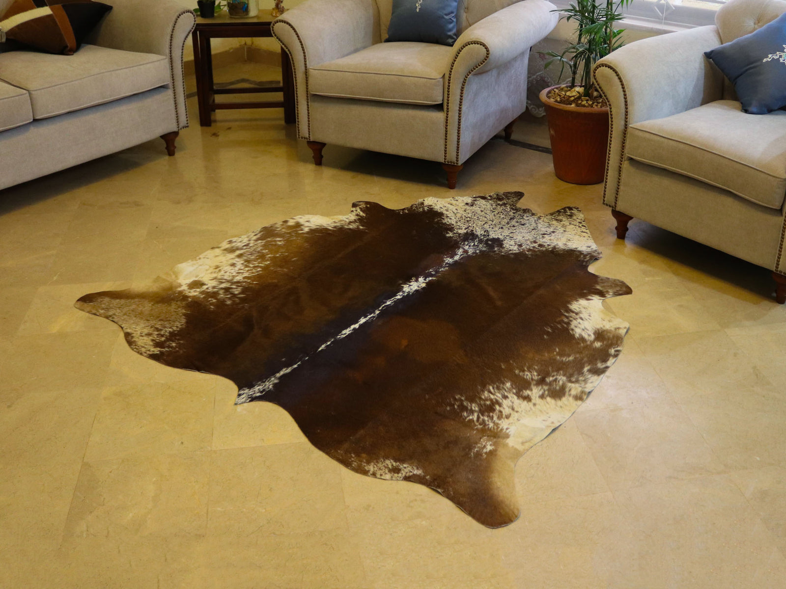 Chocolate Brown Tricolor Cowhide Area Rug