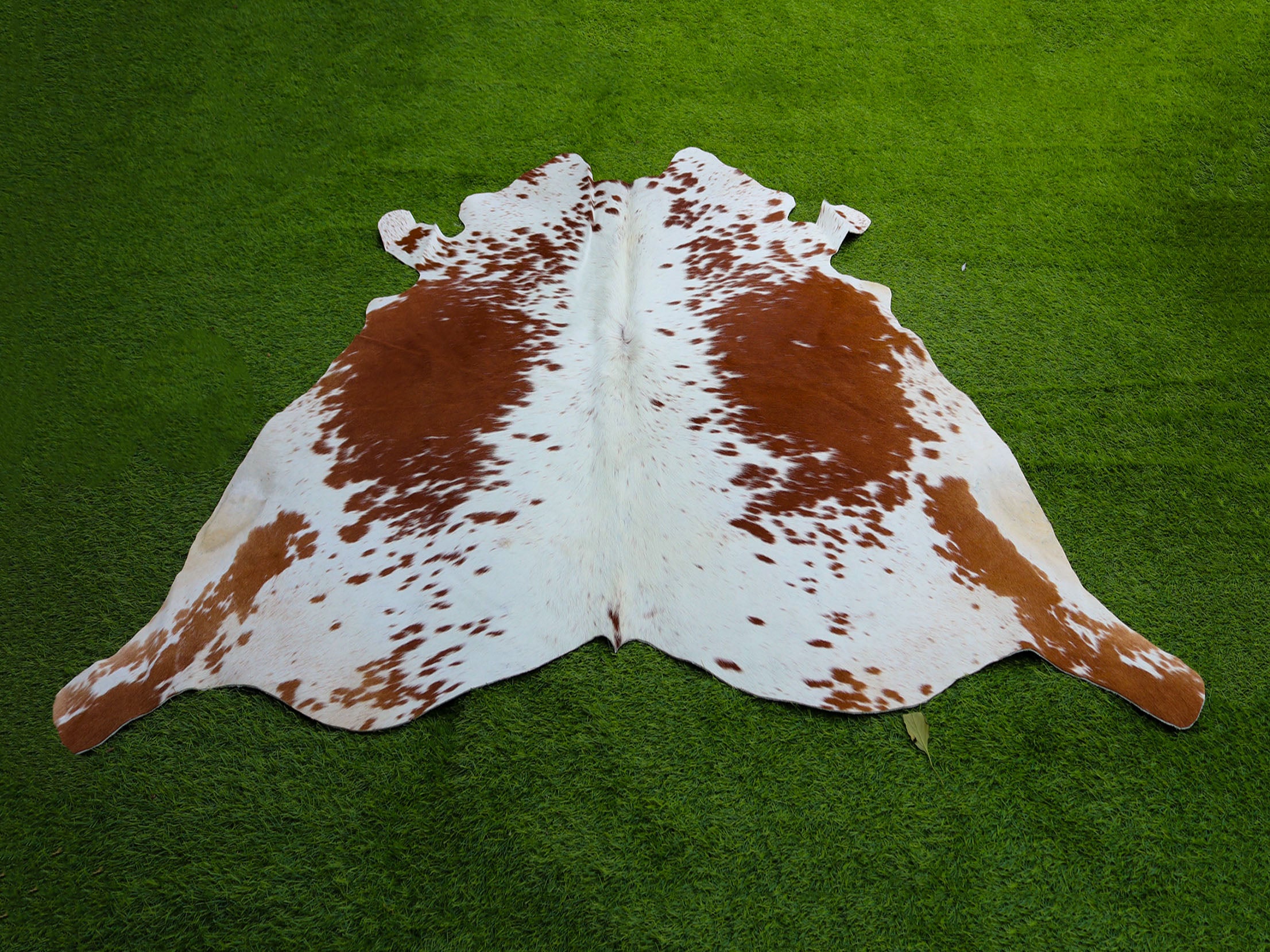 Tan Brown and White Exclusive Cowhide Rug
