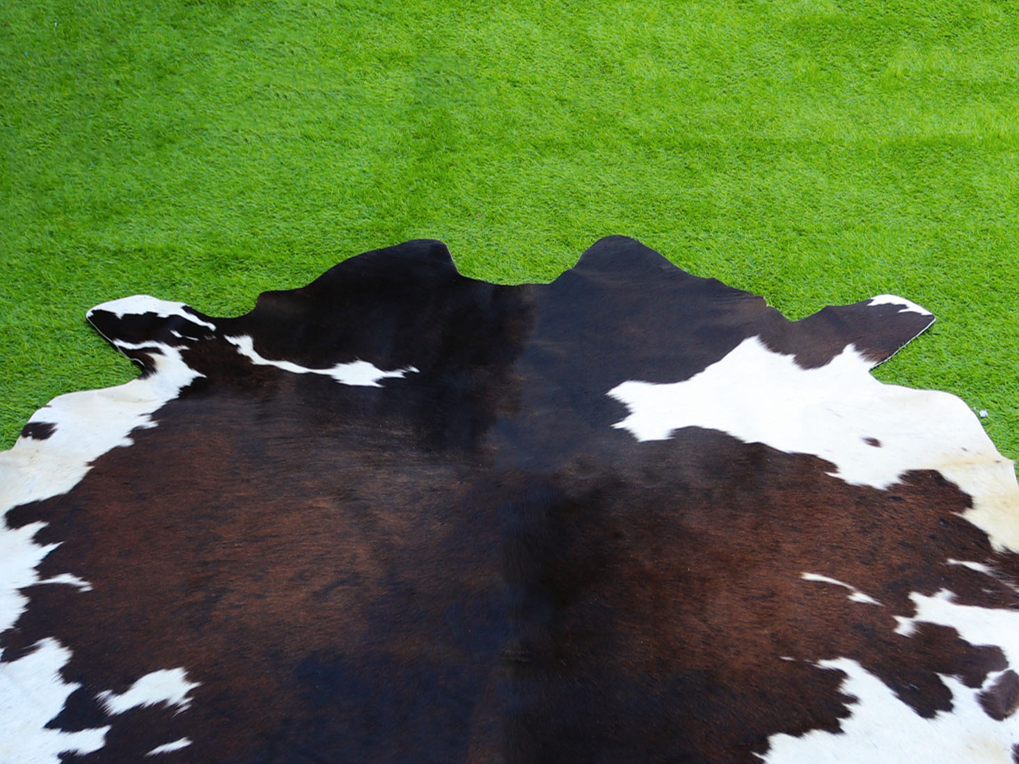 Exclusive Tricolor Cowhide Rug in Panda Print Style
