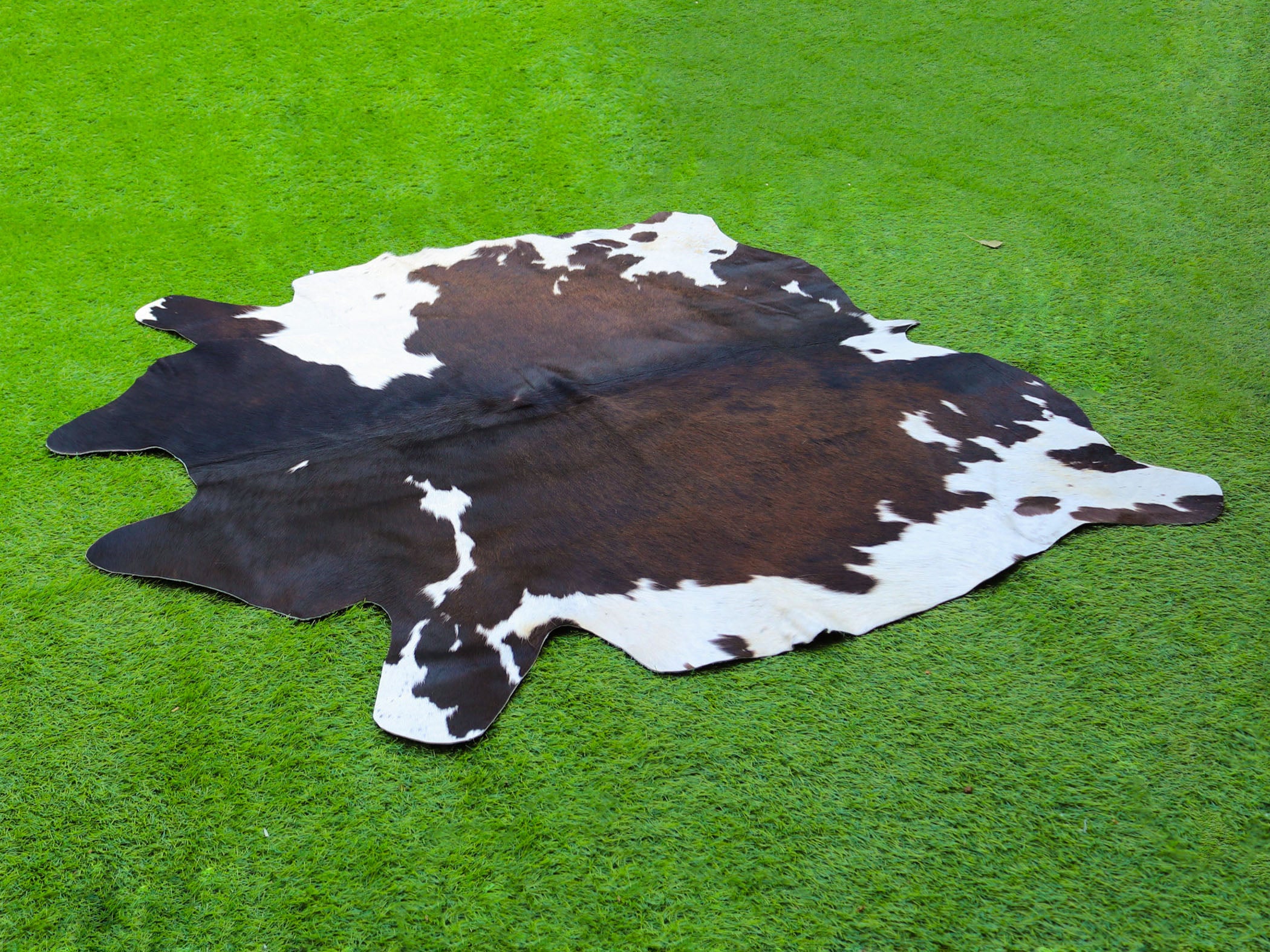 Exclusive Tricolor Cowhide Rug in Panda Print Style