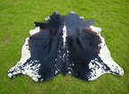 Black and White Hereford Cowhide with Light Tricolor Shade