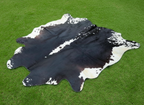 Black and White Hereford Cowhide with Light Tricolor Shade
