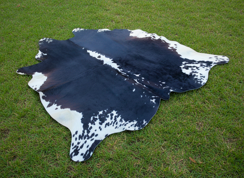 Black and White Hereford Cowhide with Light Tricolor Shade