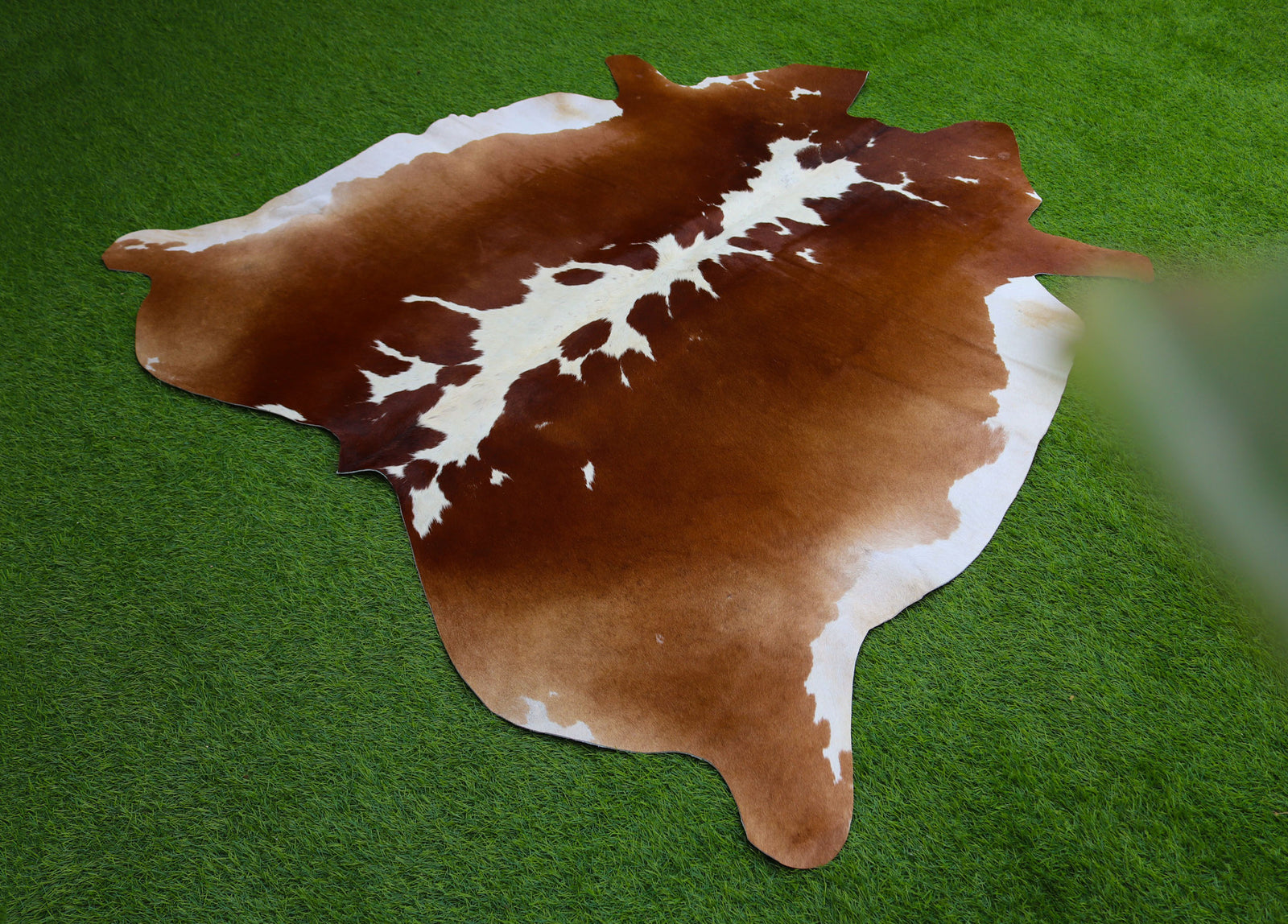 Brown and White Hereford Cowhide Rug