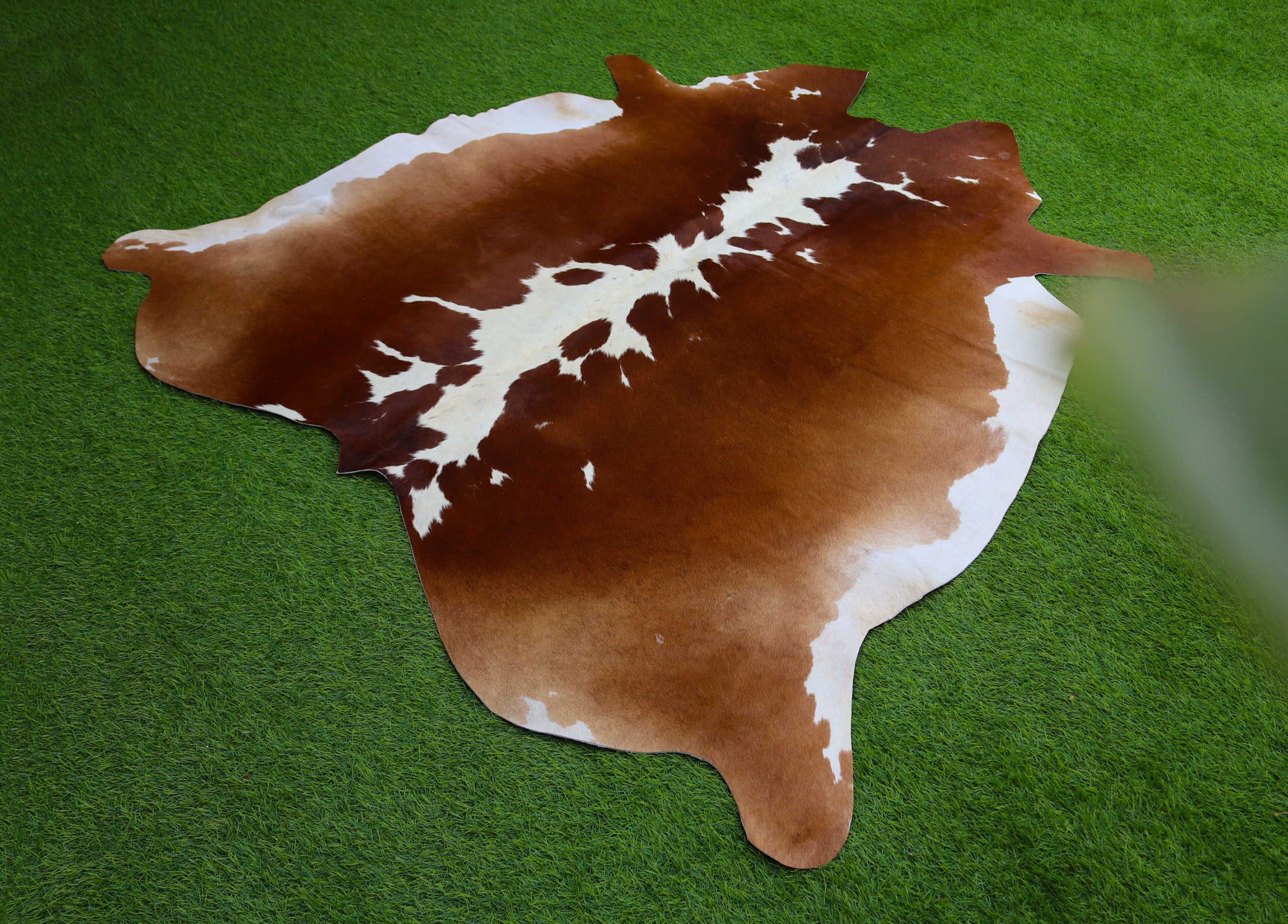 Brown and White Hereford Cowhide Rug