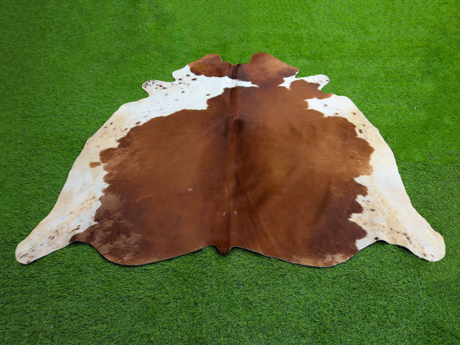 Brown and White Hair-On Cowhide Rug in Panda Print