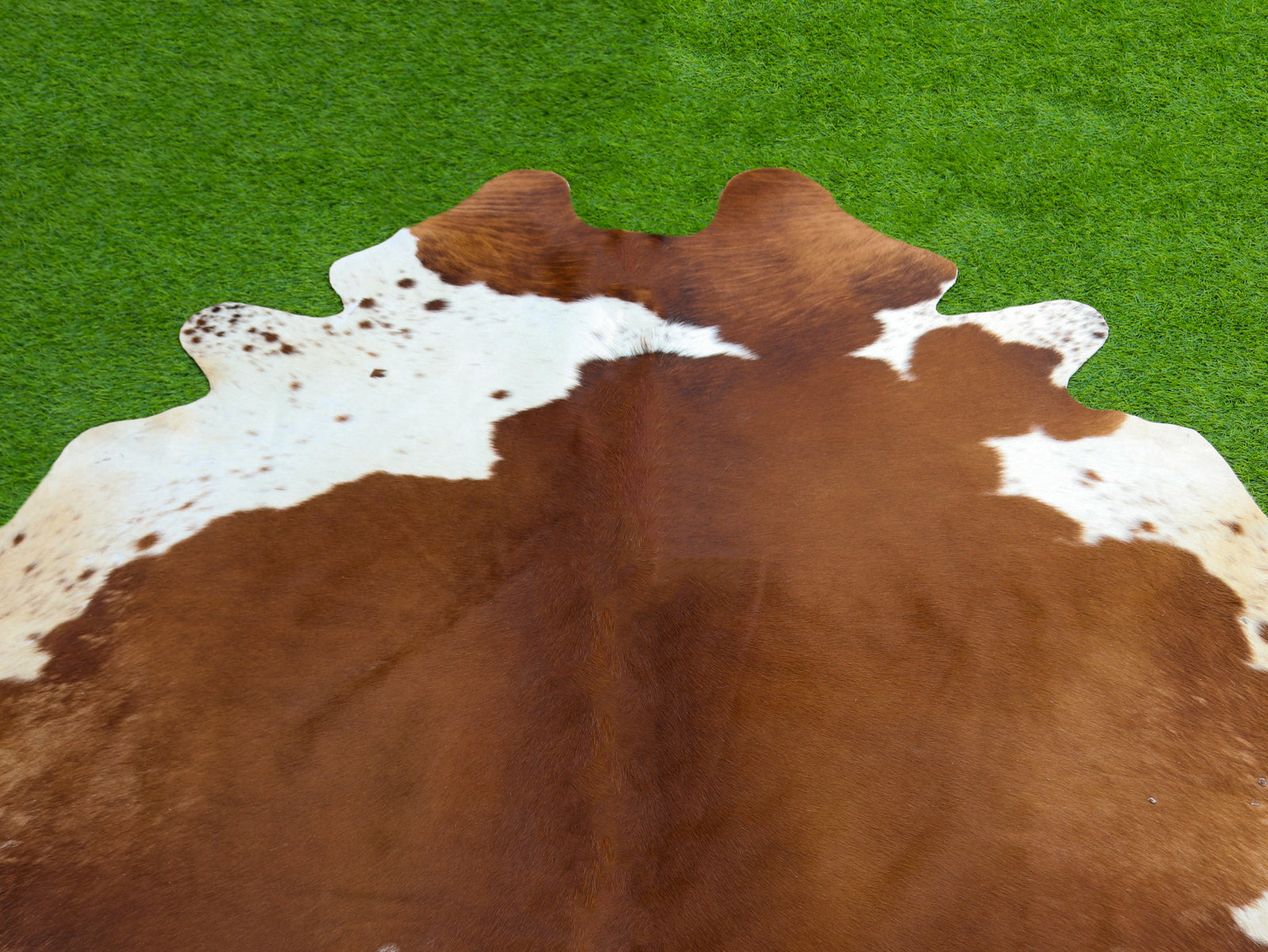 Brown and White Hair-On Cowhide Rug in Panda Print