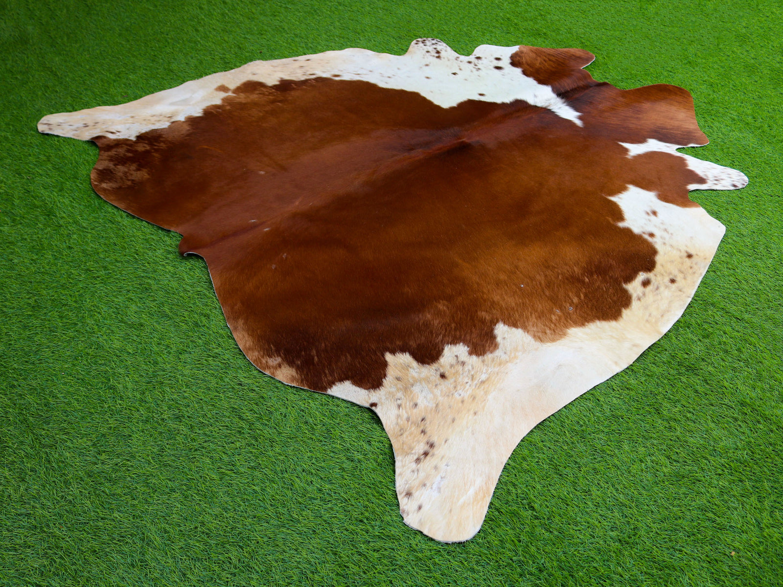 Brown and White Hair-On Cowhide Rug in Panda Print