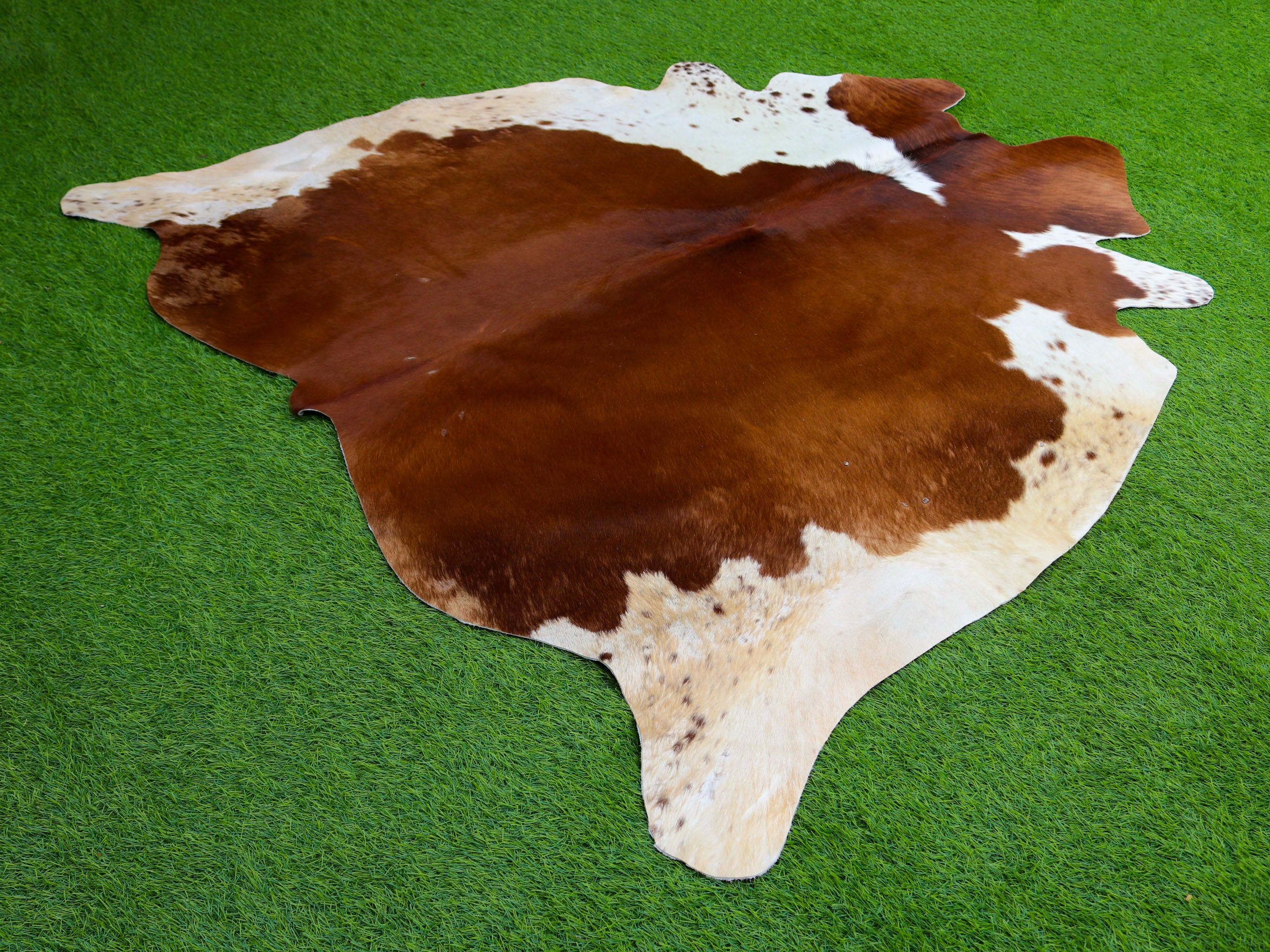 Brown and White Hair-On Cowhide Rug in Panda Print