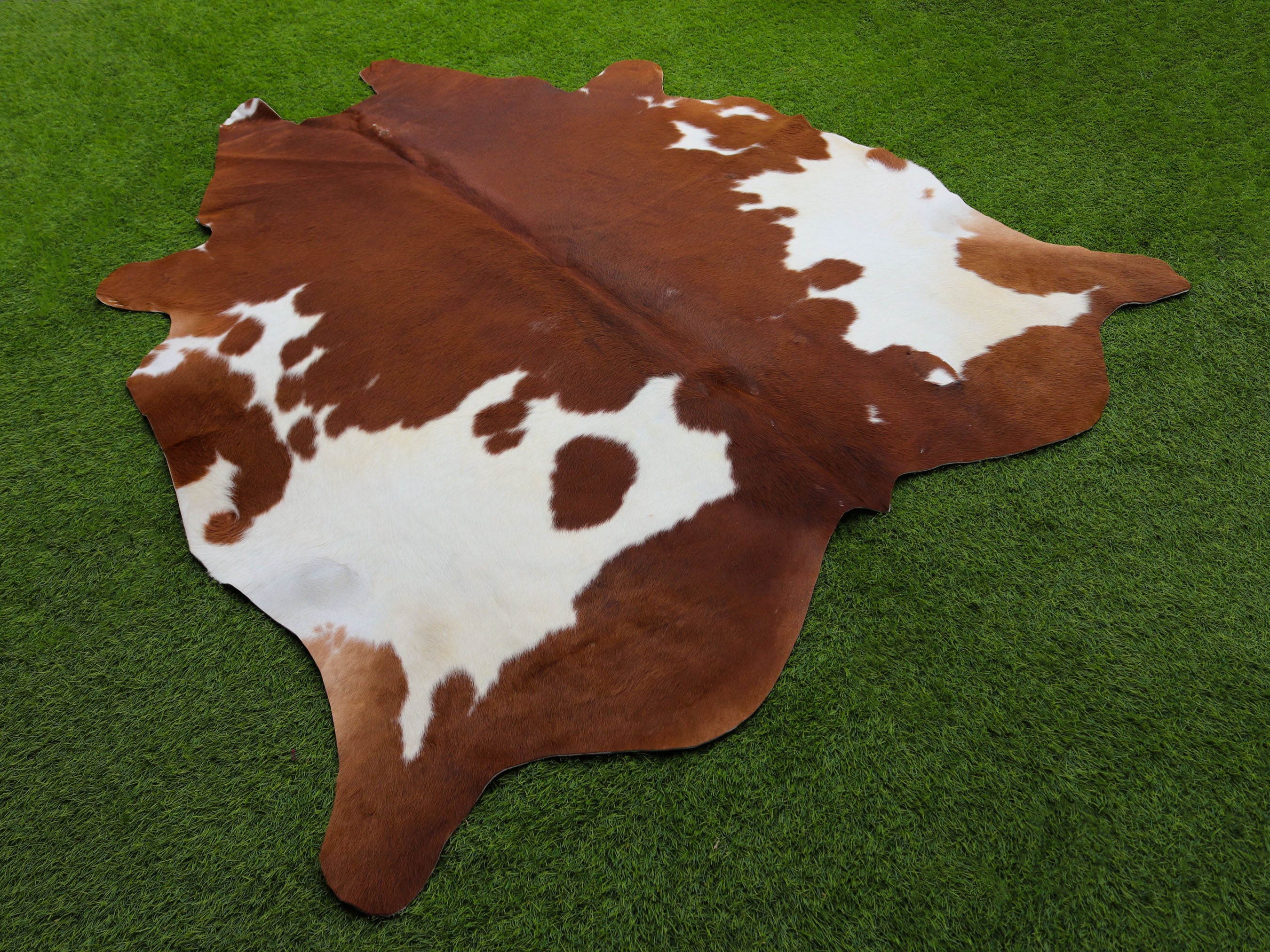 Brown and White Panda Print Cowhide Rug