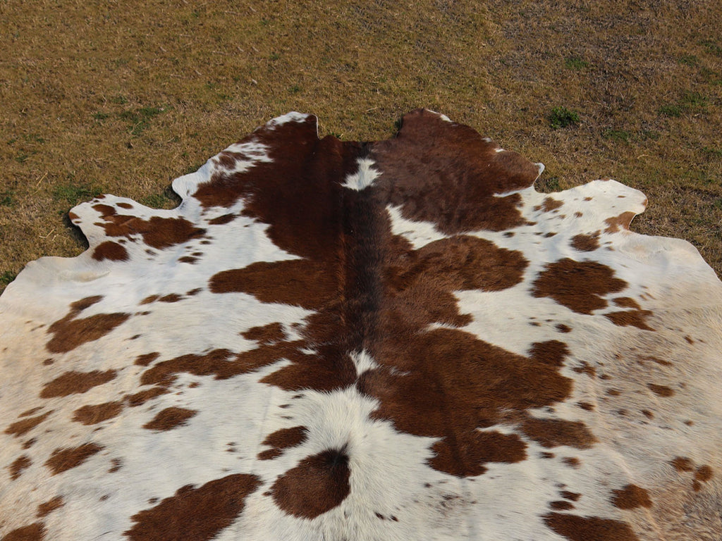Brown and White Panda Print Cowhide Area Rug