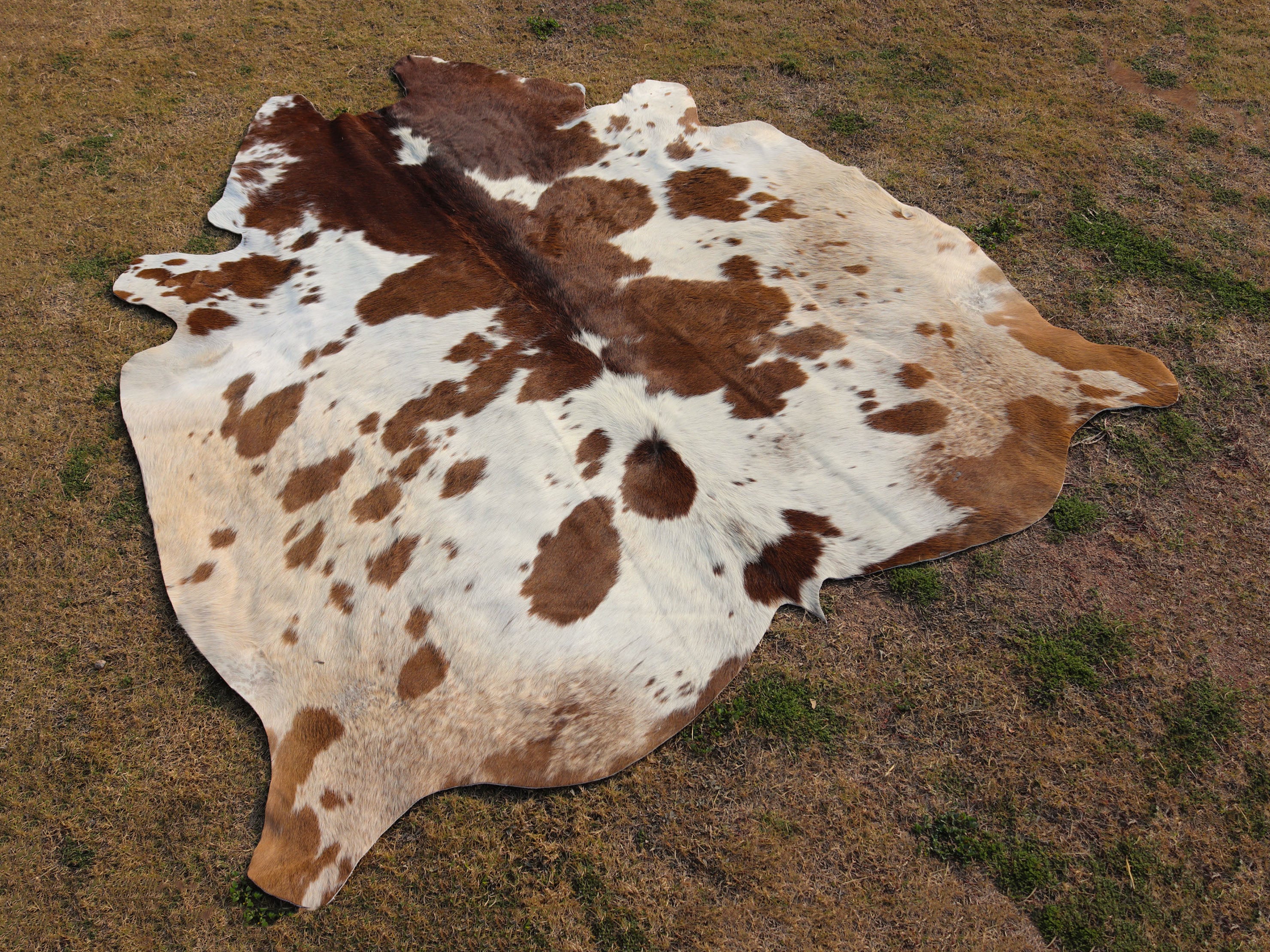 Brown and White Panda Print Cowhide Area Rug