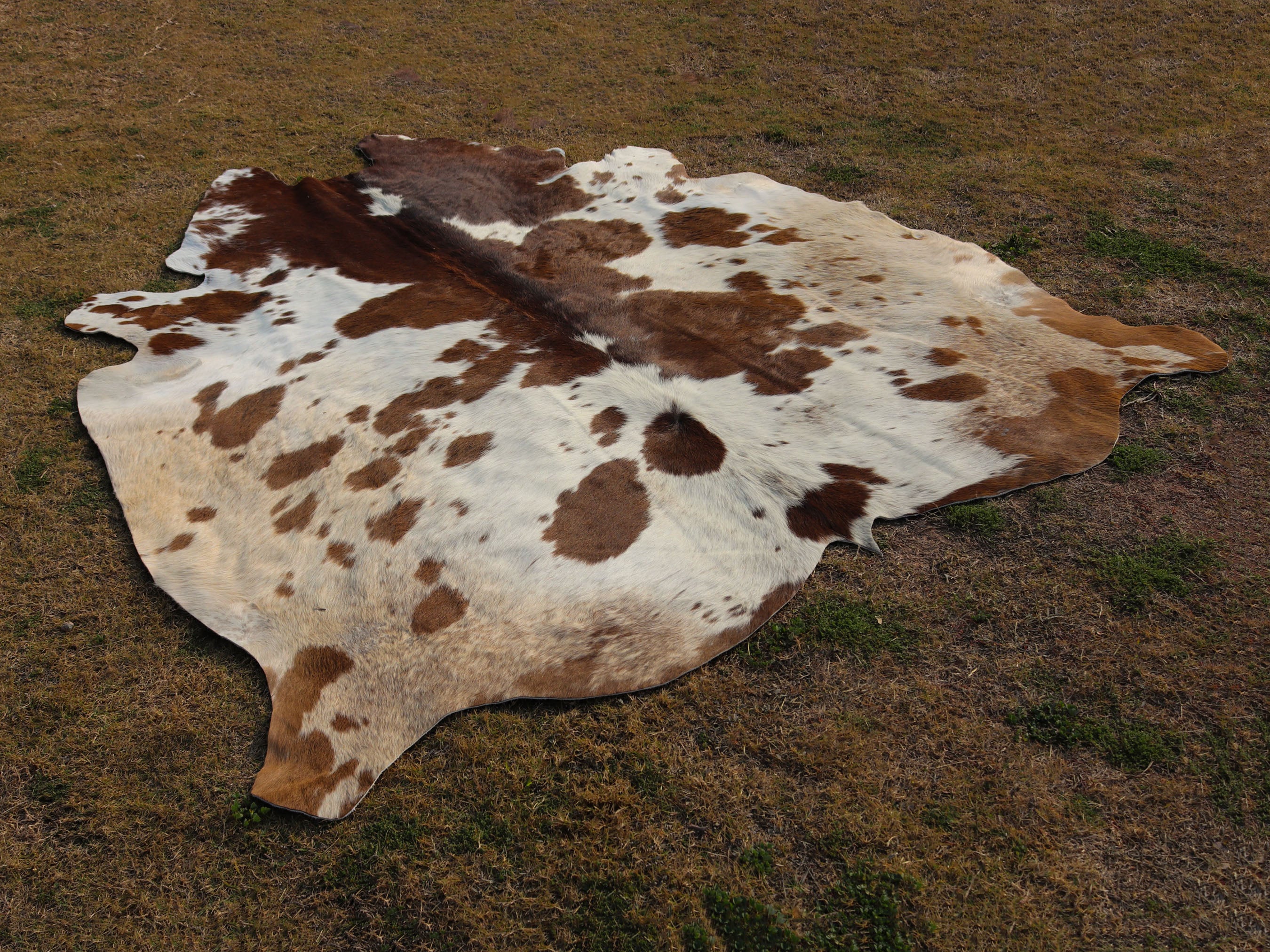Brown and White Panda Print Cowhide Area Rug