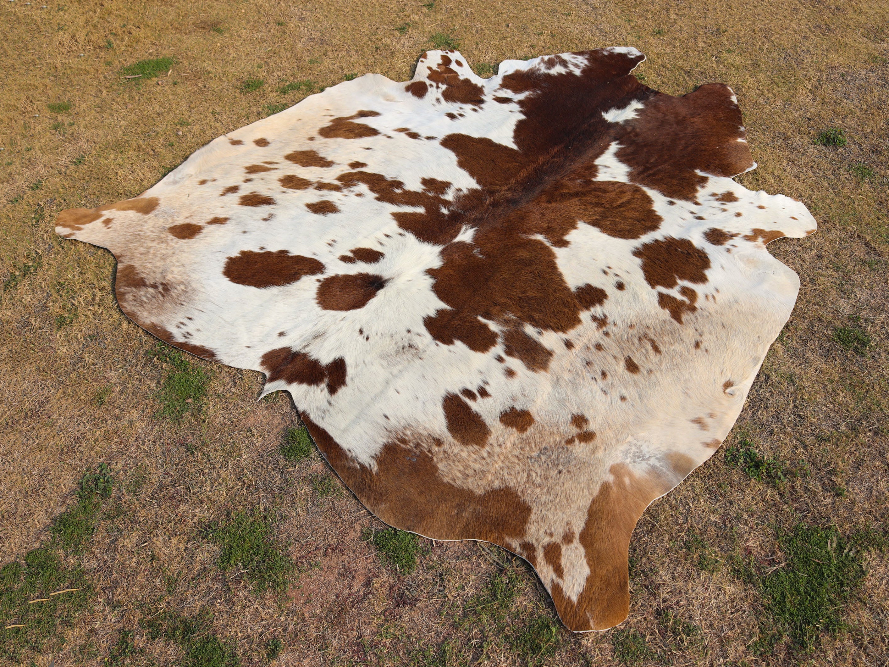 Brown and White Panda Print Cowhide Area Rug