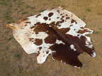 Brown and White Panda Print Cowhide Area Rug