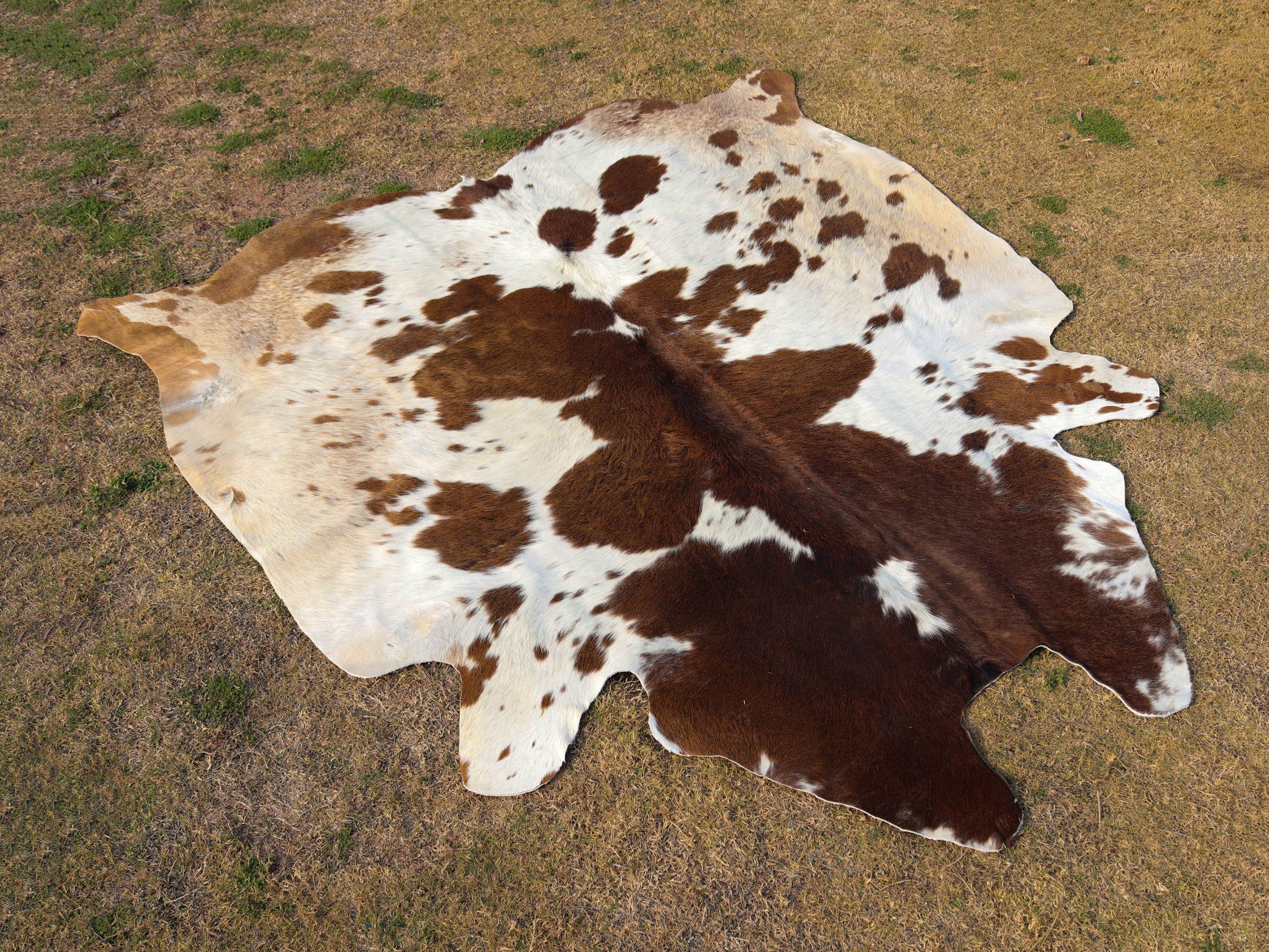 Brown and White Panda Print Cowhide Area Rug