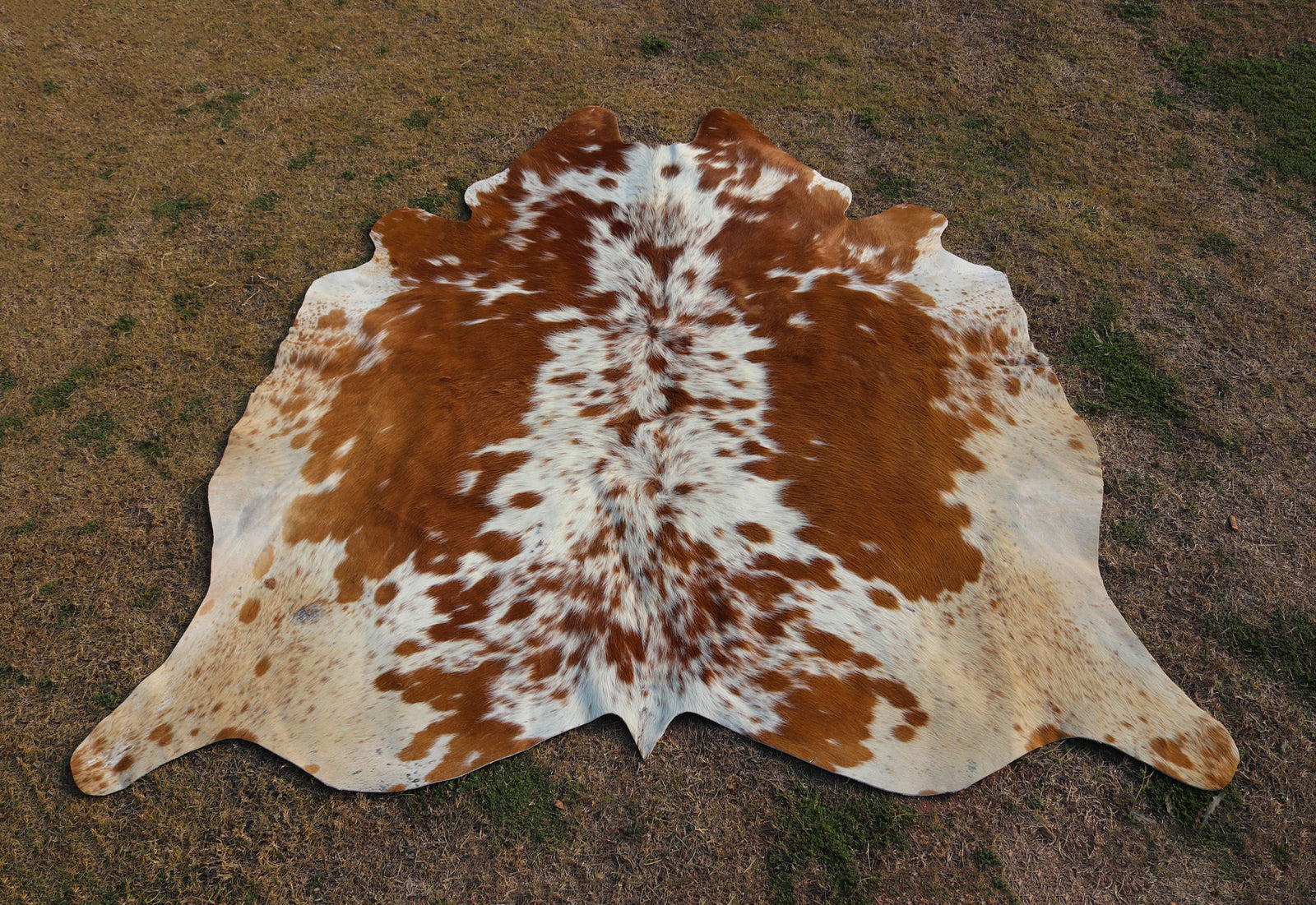 Tan And White Cowhide Rugs Style 15