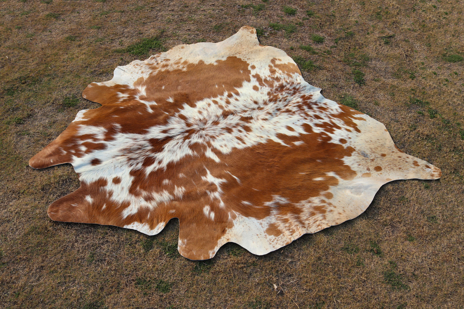 Tan And White Cowhide Rugs Style 15