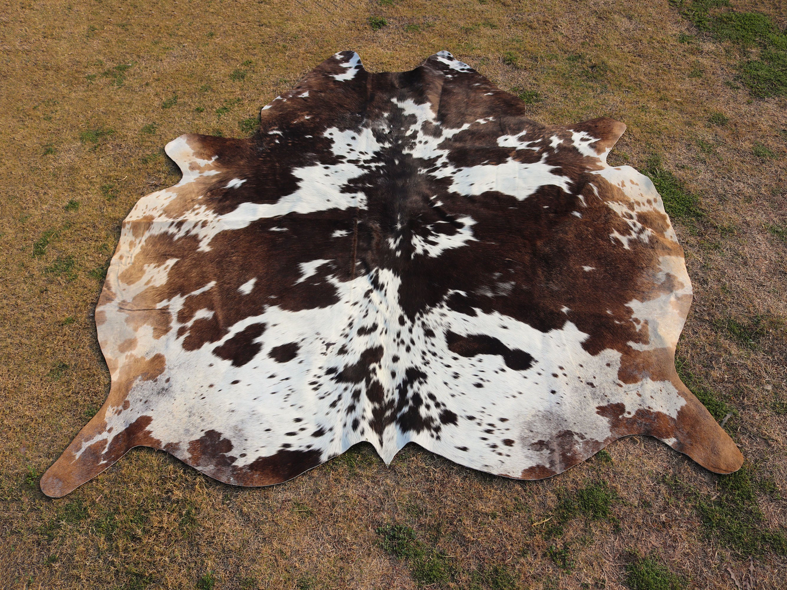 Chocolate Brown and White Luxury Cowhide Rug