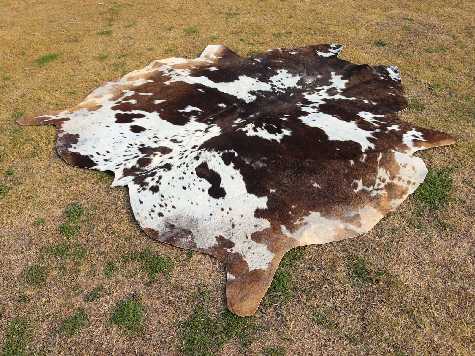 Chocolate Brown and White Luxury Cowhide Rug