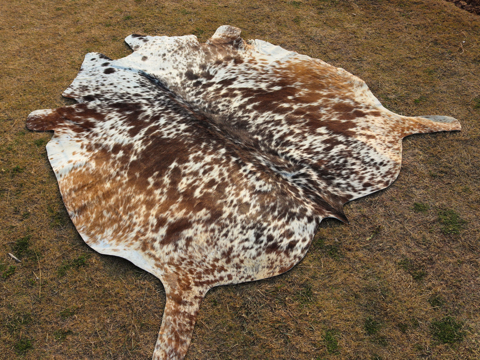 Tricolor Salt and Pepper Print Hair-On Cowhide Rug