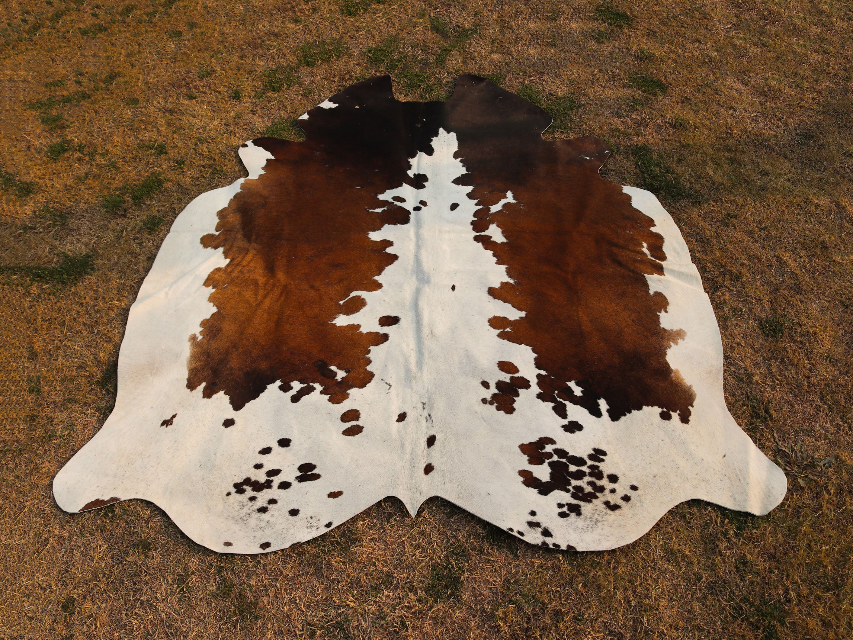 Luxury Tricolor Cowhide Area Rug
