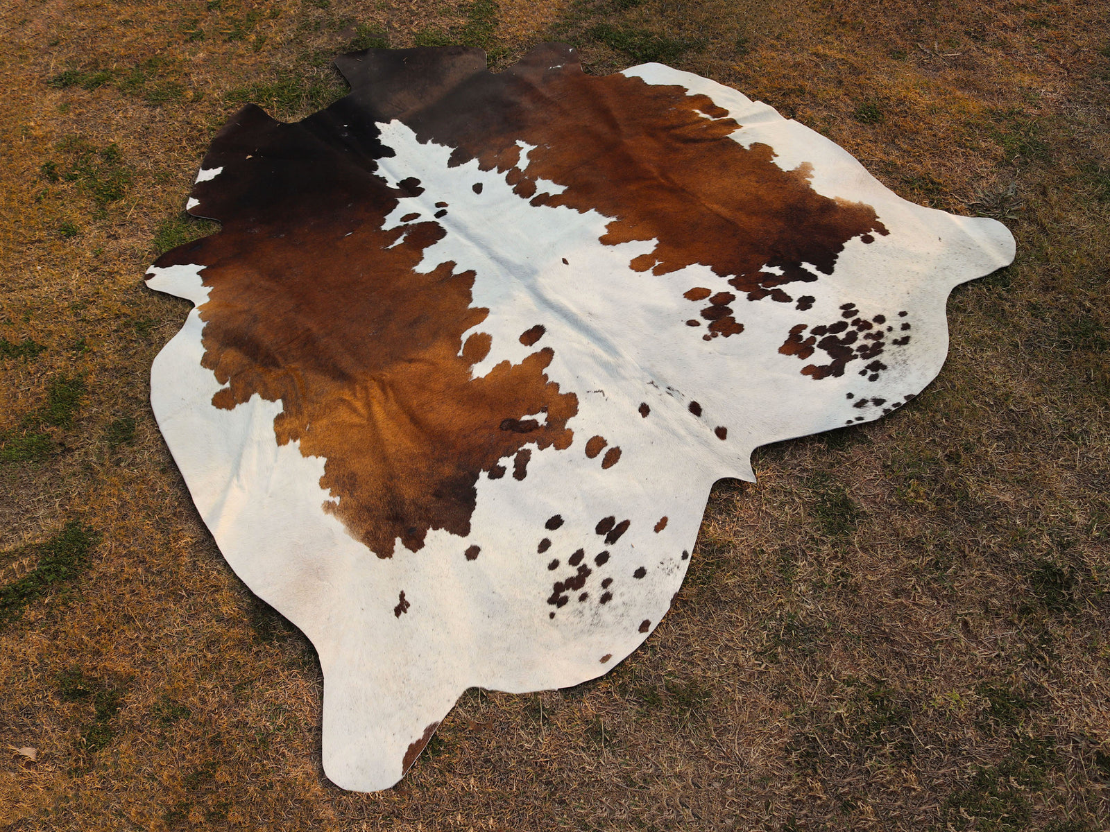 Luxury Tricolor Cowhide Area Rug