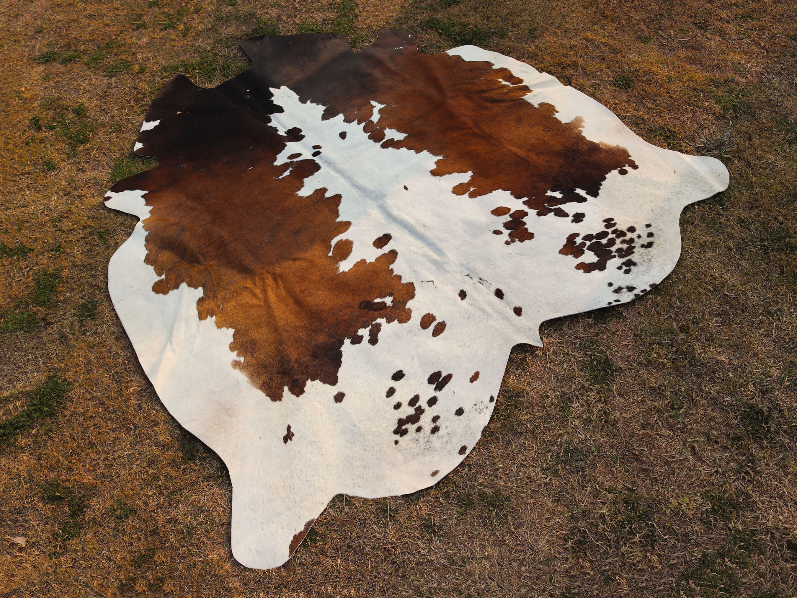 Luxury Tricolor Cowhide Area Rug