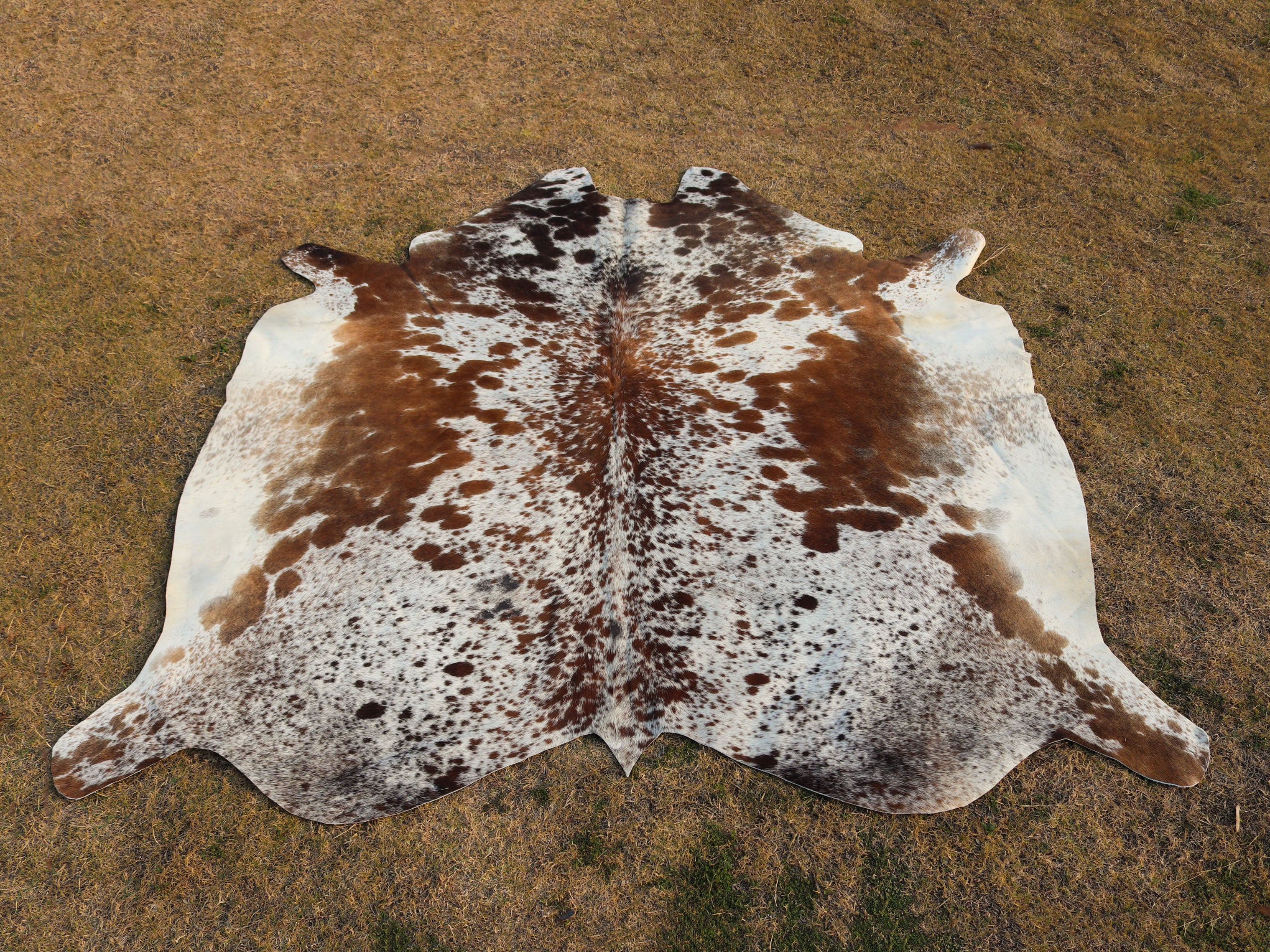 Tricolor Salt and Pepper Print Cowhide Rug