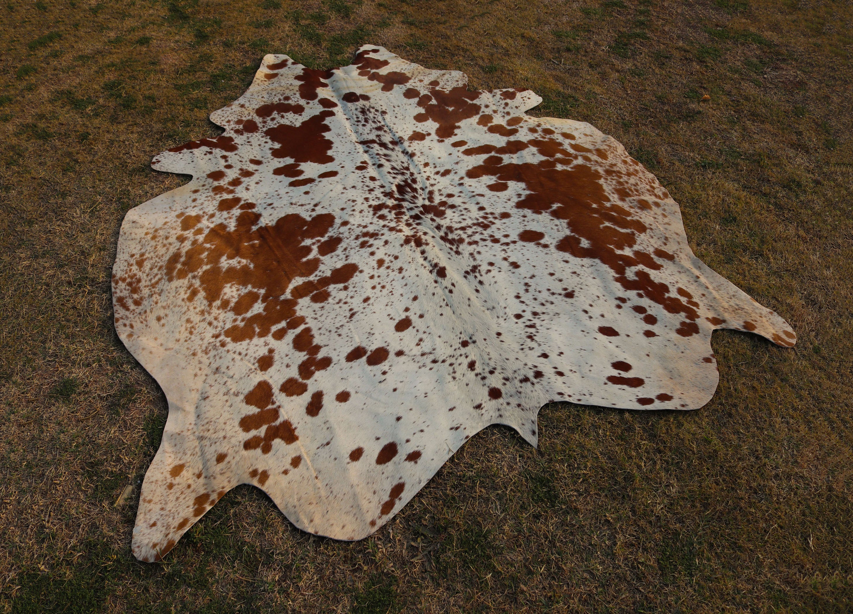 Tan Brown and White Spotted Cowhide Rug for Home Decor