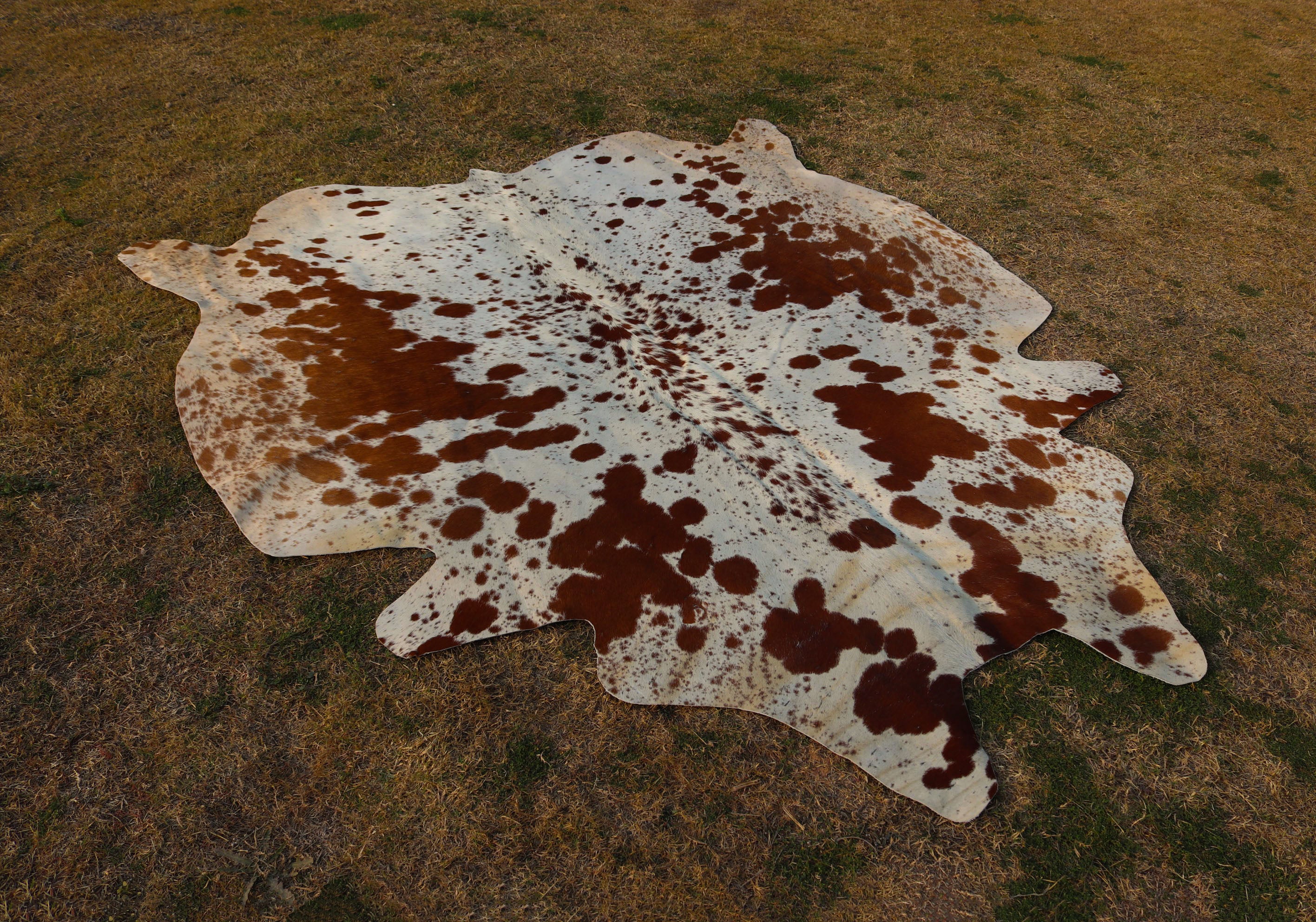 Tan Brown and White Spotted Cowhide Rug for Home Decor
