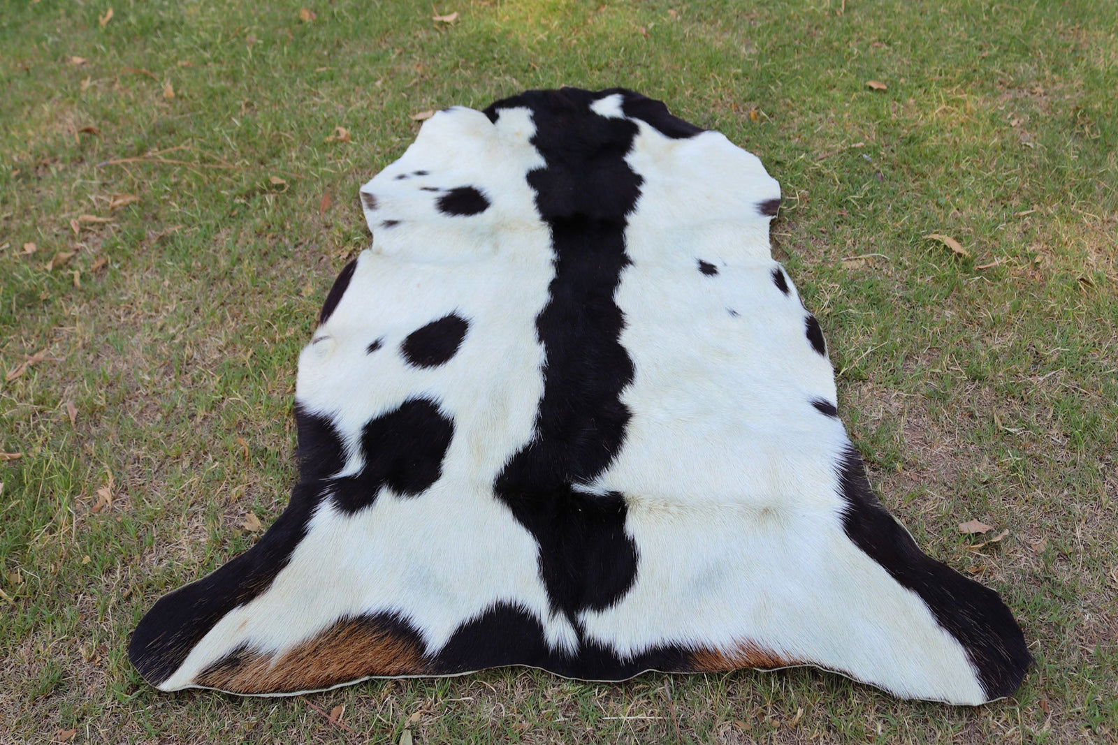 Exotic Spotted Goatskin Rug