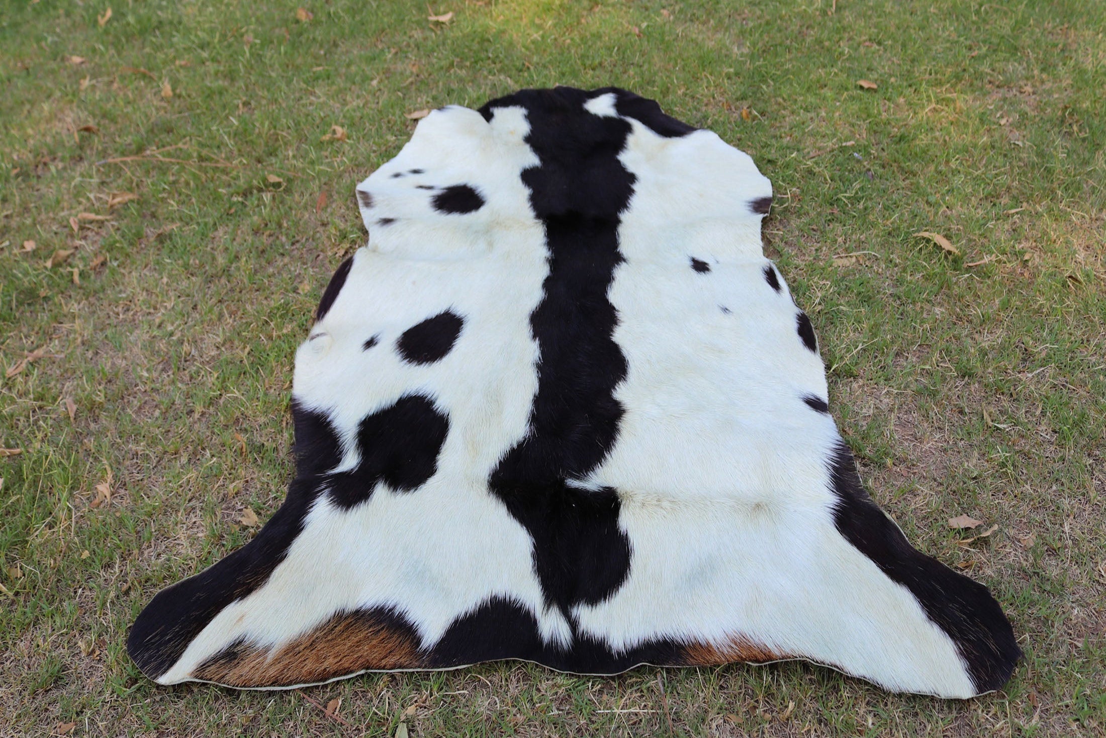 Exotic Spotted Goatskin Rug