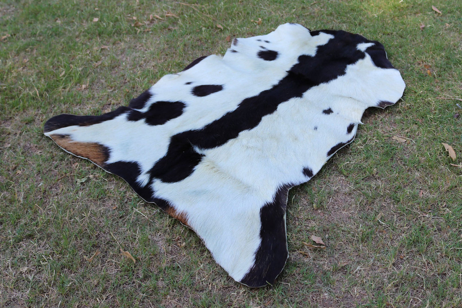 Exotic Spotted Goatskin Rug