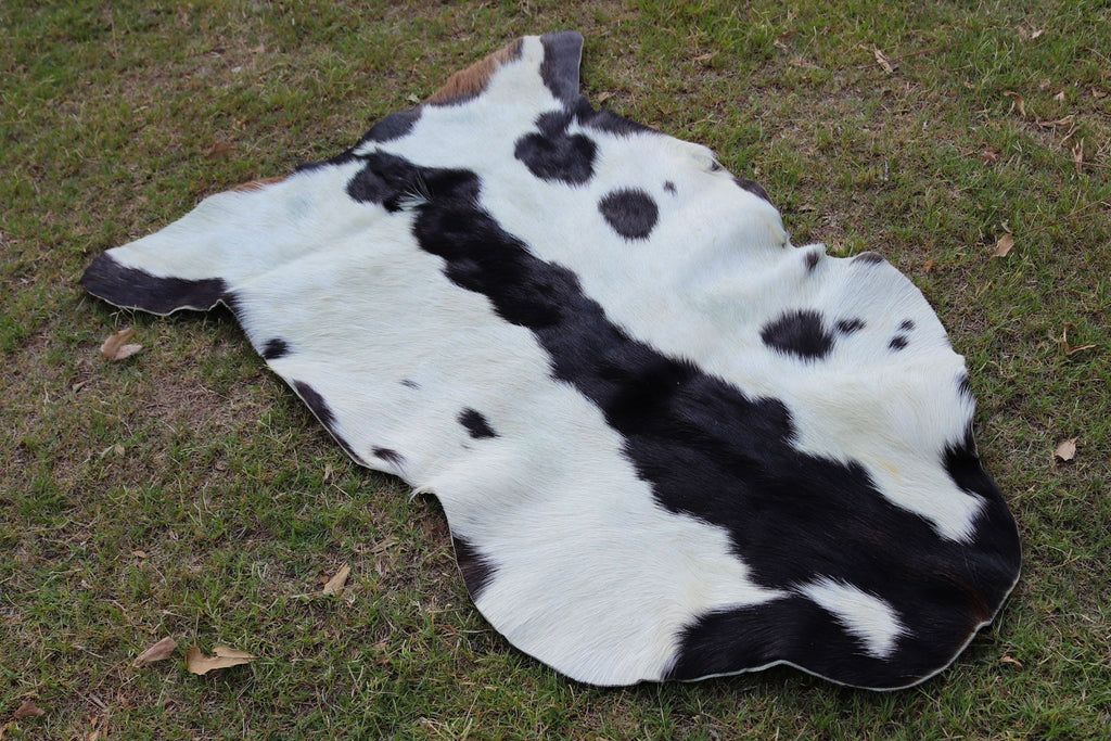Exotic Spotted Goatskin Rug
