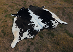Black and White Hereford Cowhide Rug