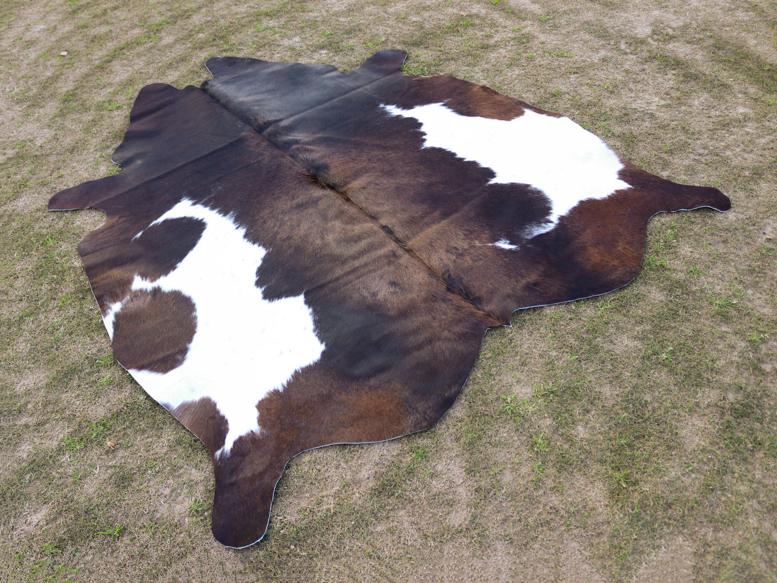 Chocolate Brown and White Cowhide Rug in Panda Print Style