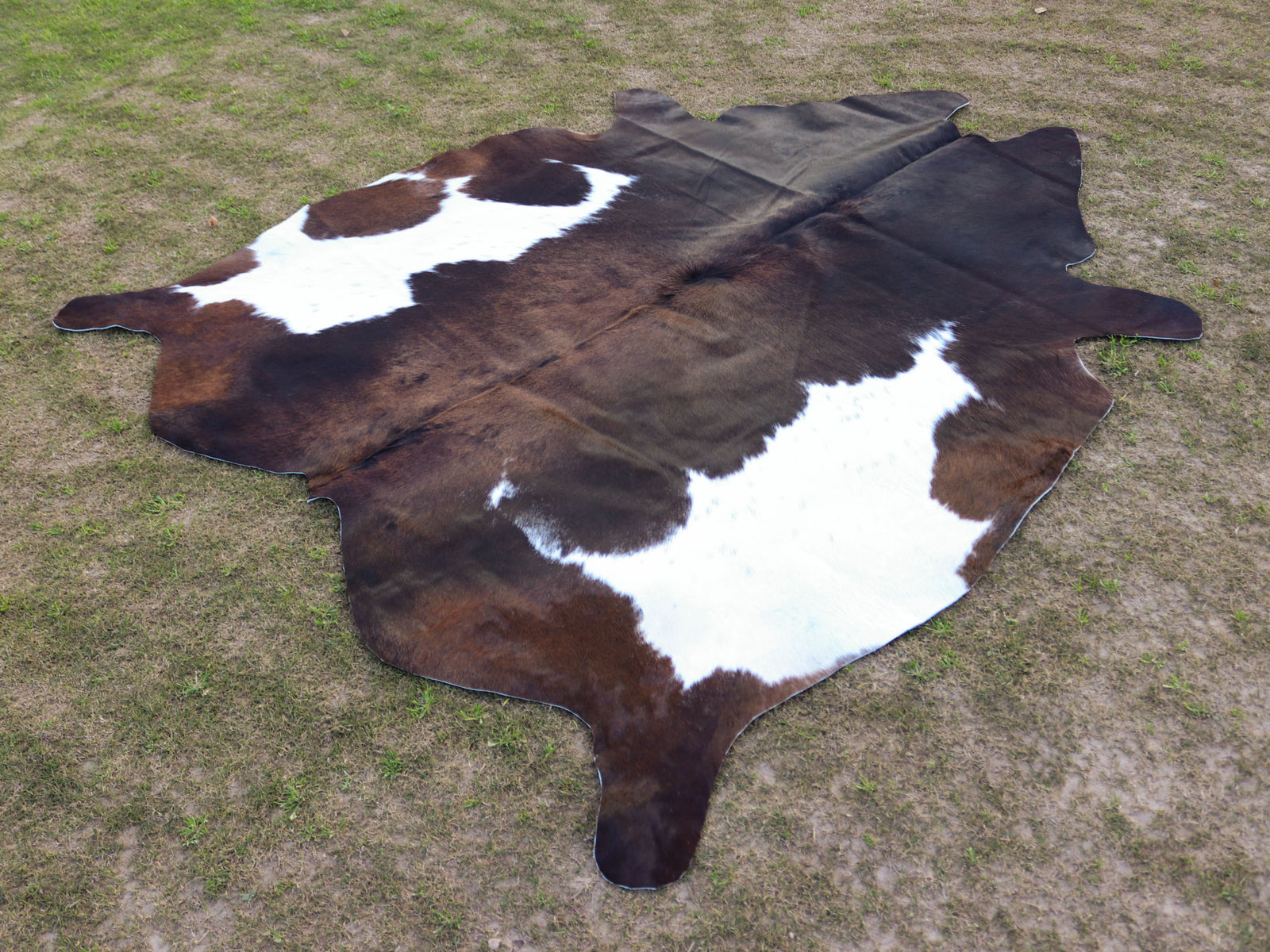 Chocolate Brown and White Cowhide Rug in Panda Print Style