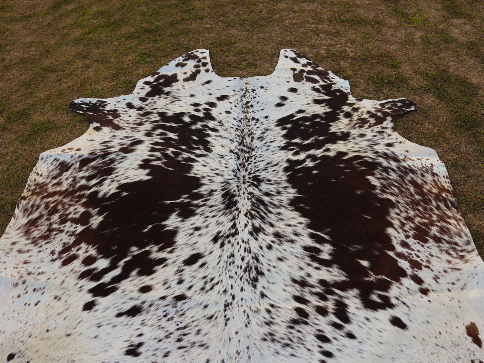Chocolate Brown and White Speckled Cowhide Rug