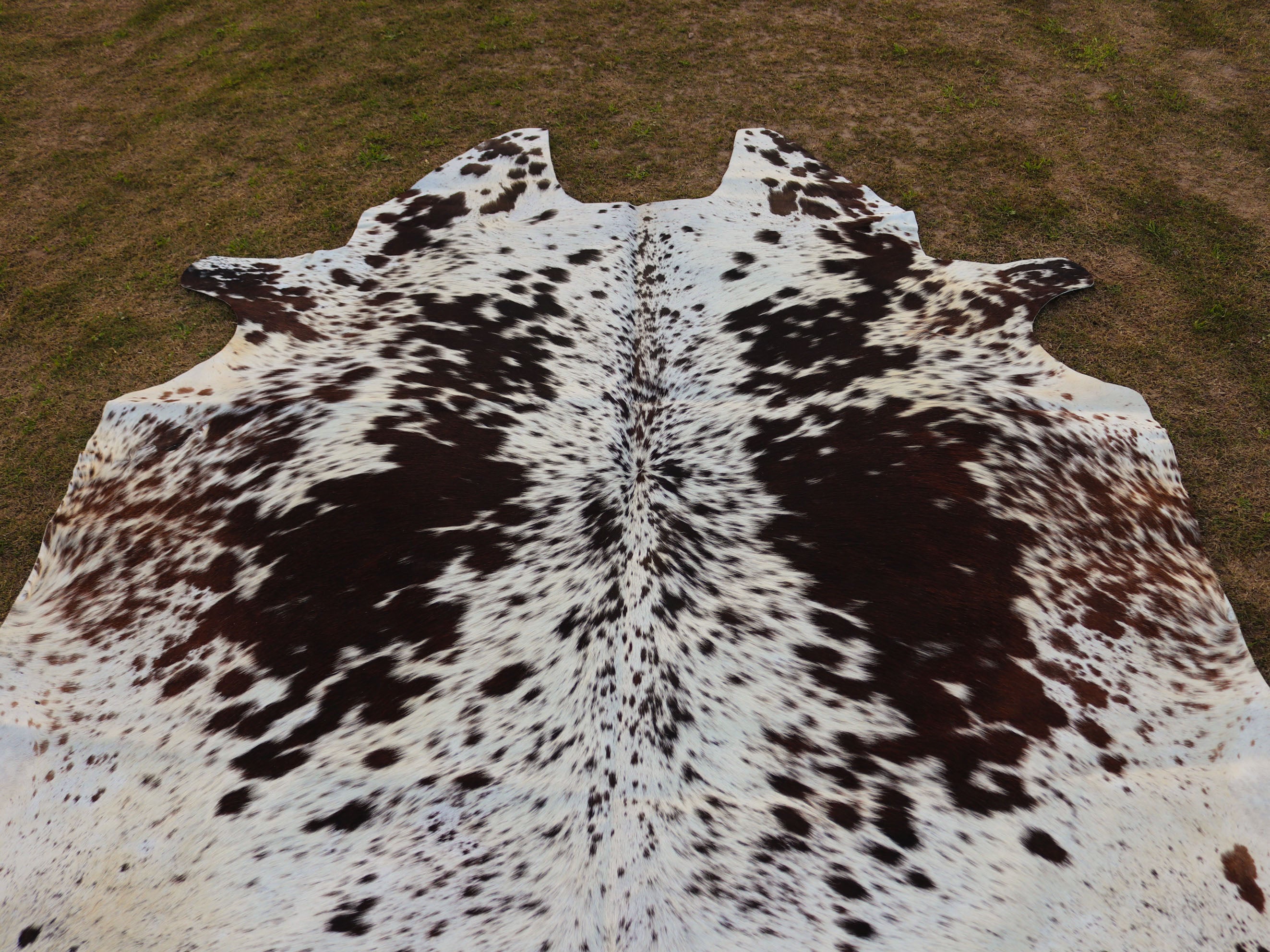 Chocolate Brown and White Speckled Cowhide Rug
