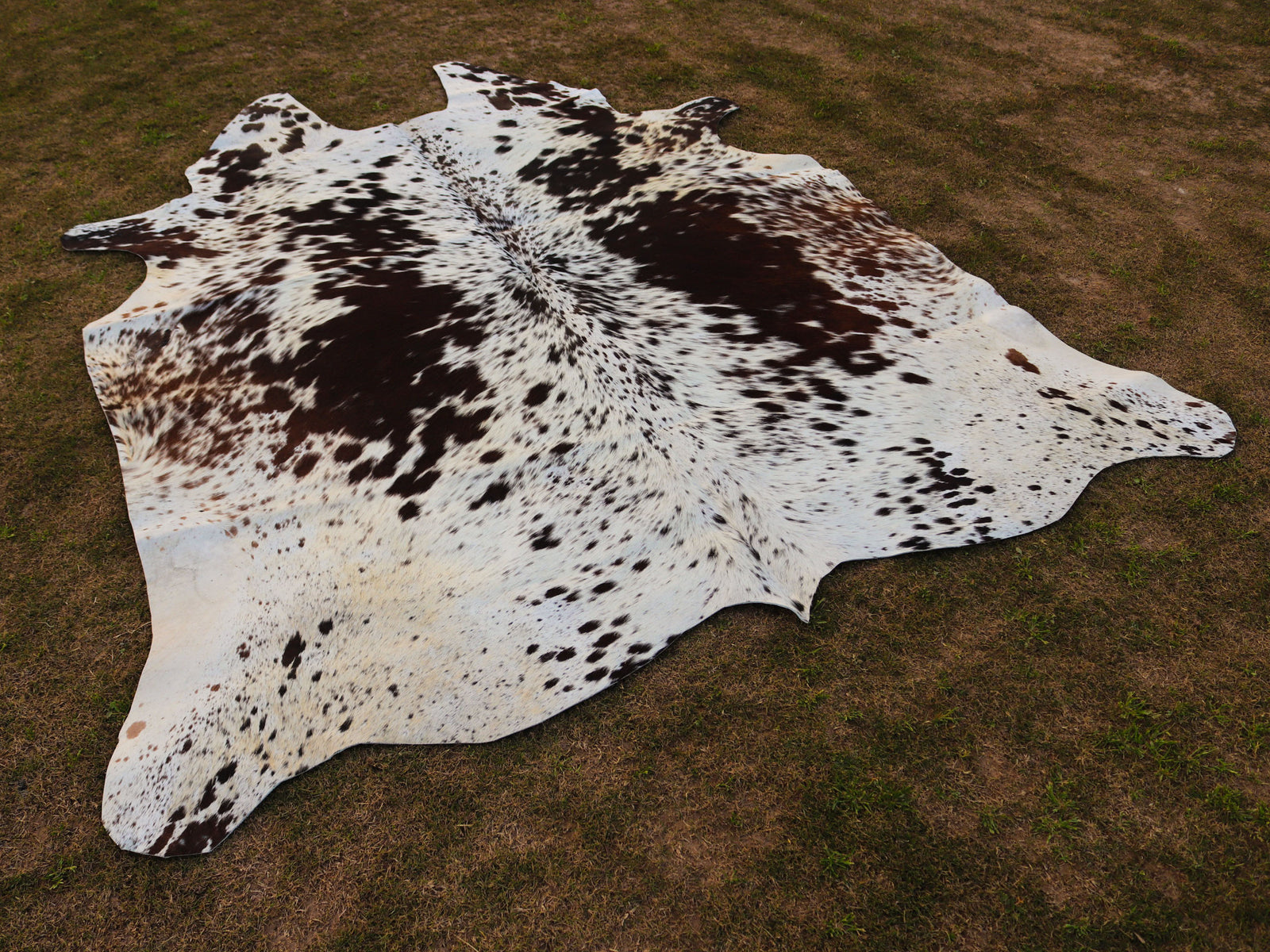 Chocolate Brown and White Speckled Cowhide Rug