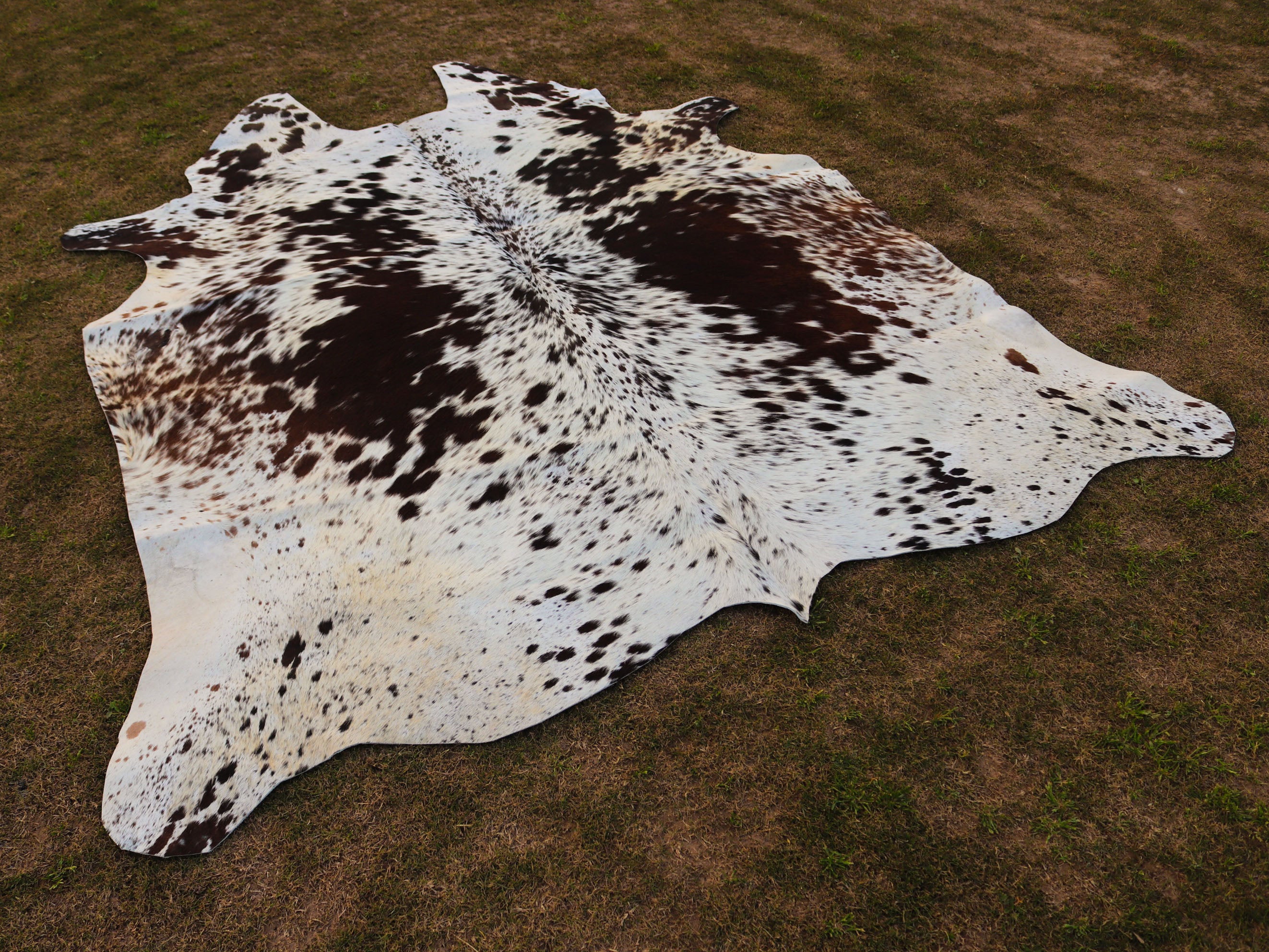 Chocolate Brown and White Speckled Cowhide Rug
