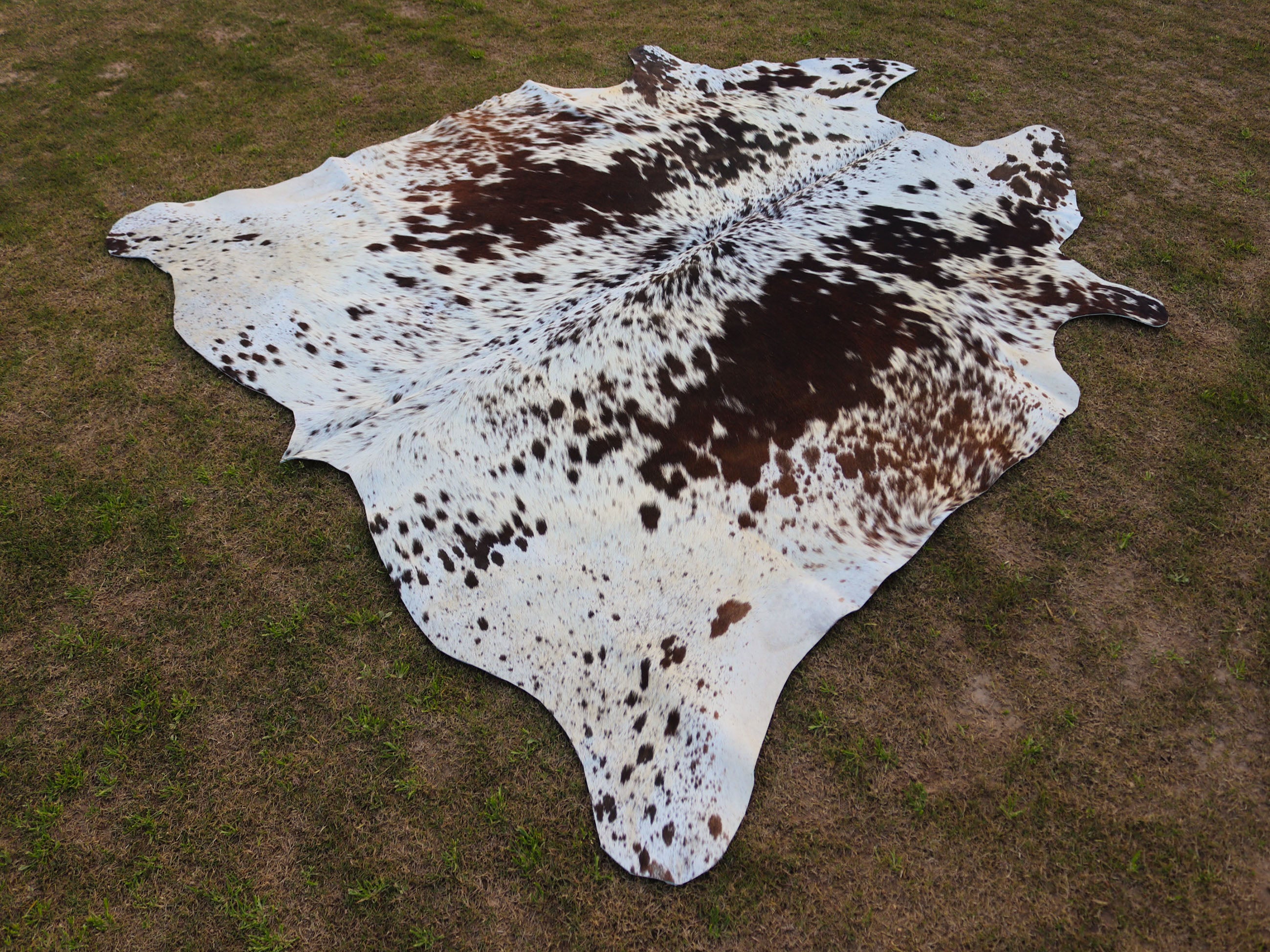 Chocolate Brown and White Speckled Cowhide Rug