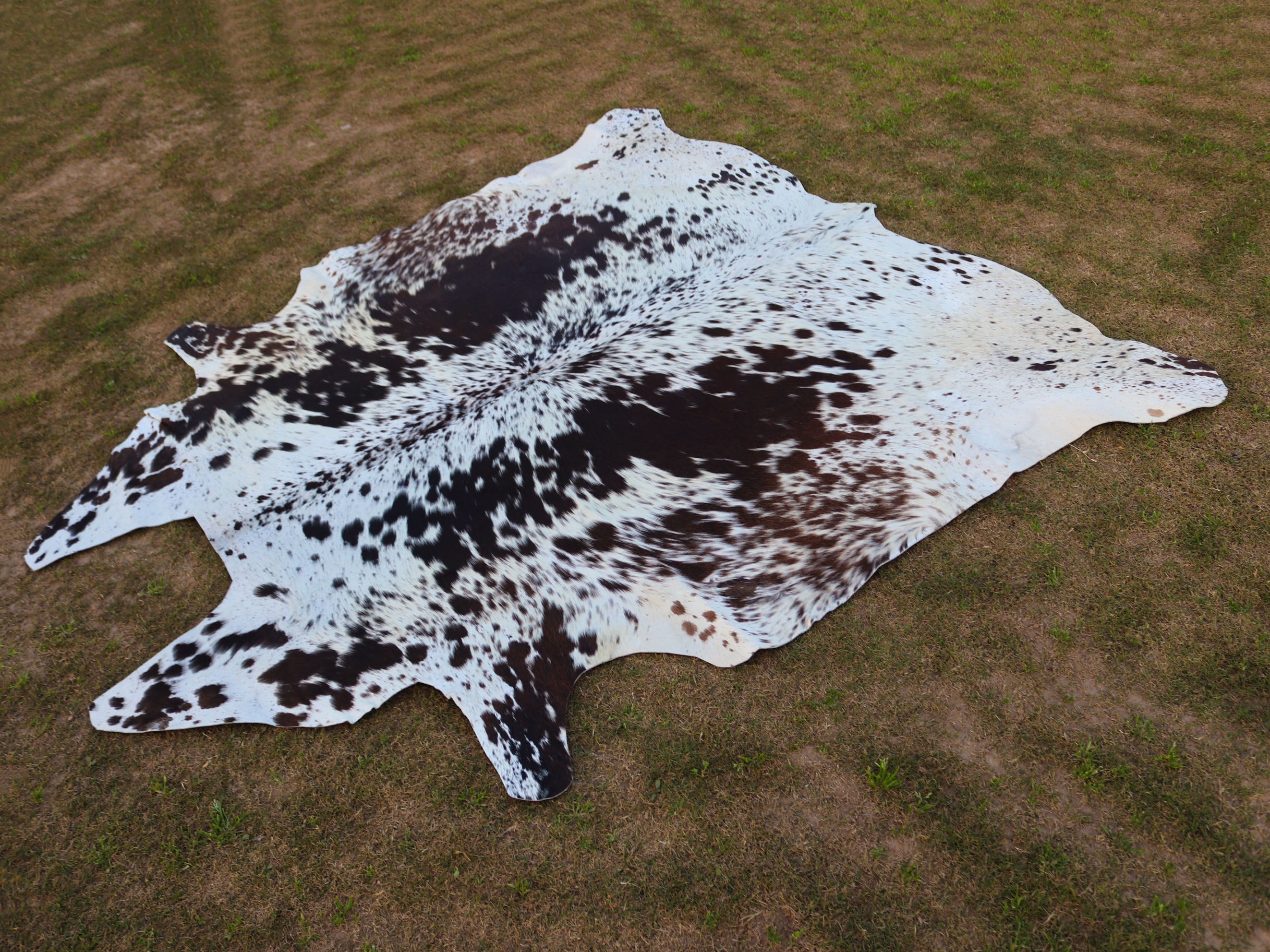Chocolate Brown and White Speckled Cowhide Rug
