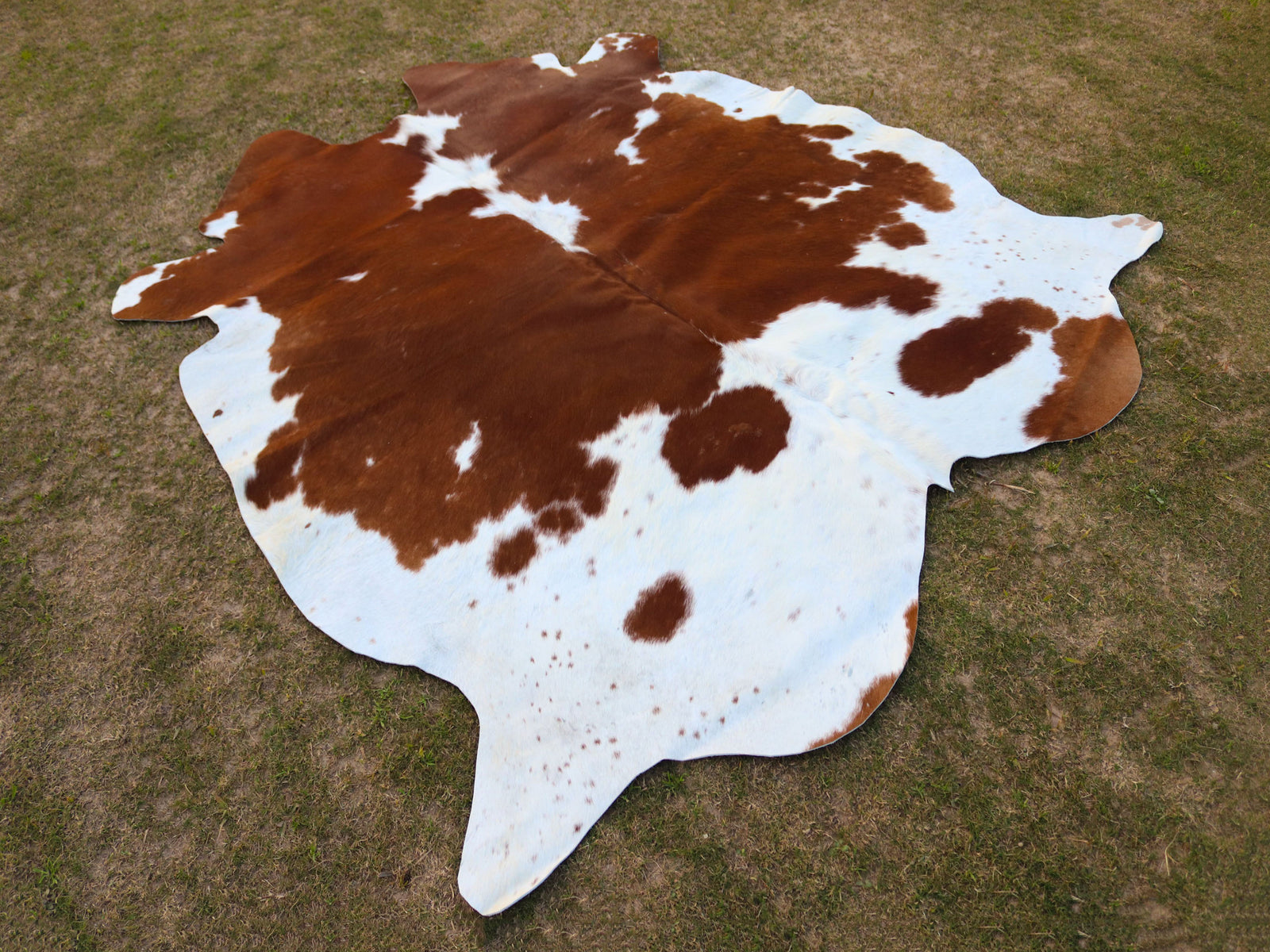 Brown and White Cowhide Rug in Panda Print Style