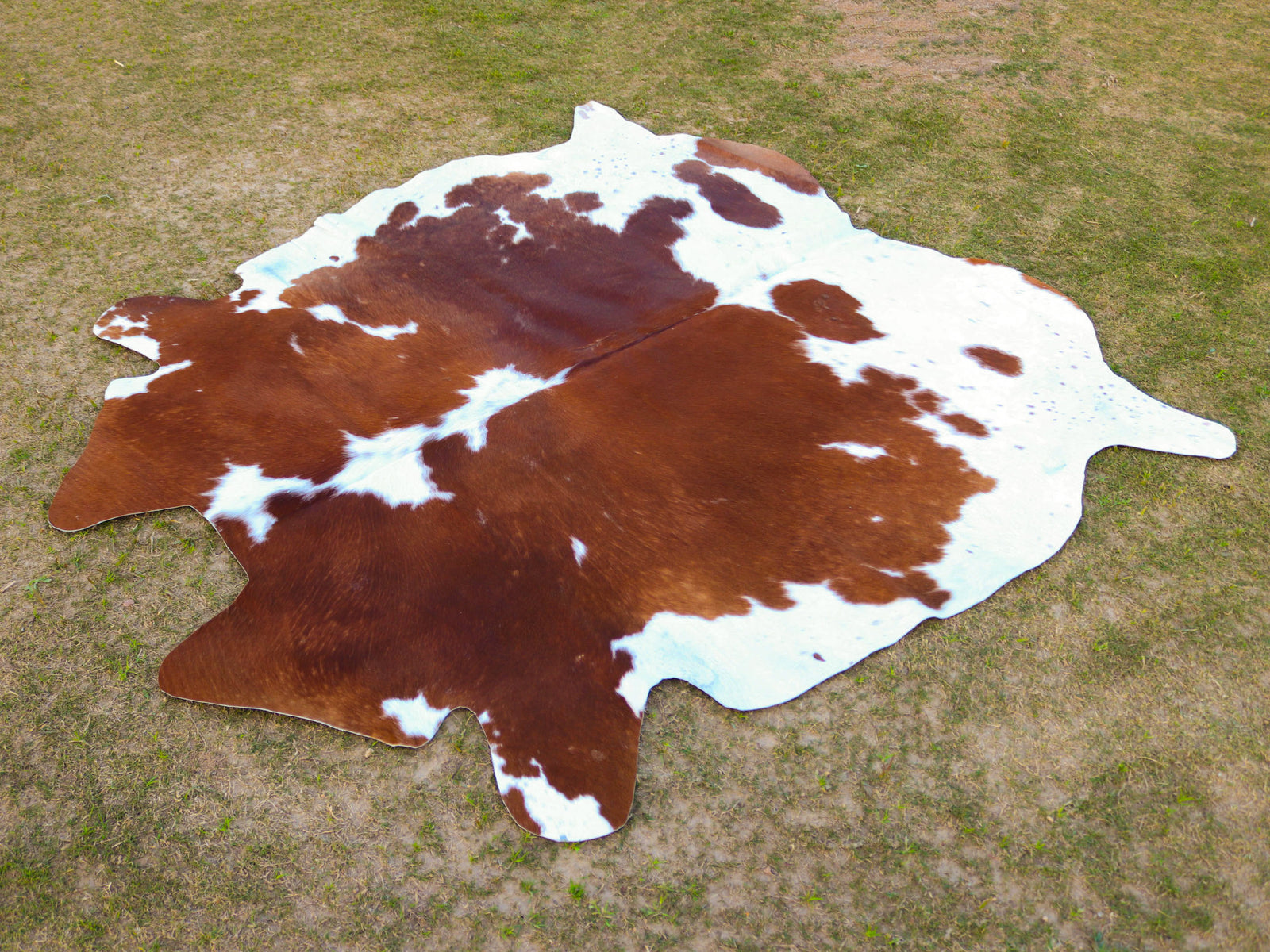 Brown and White Cowhide Rug in Panda Print Style
